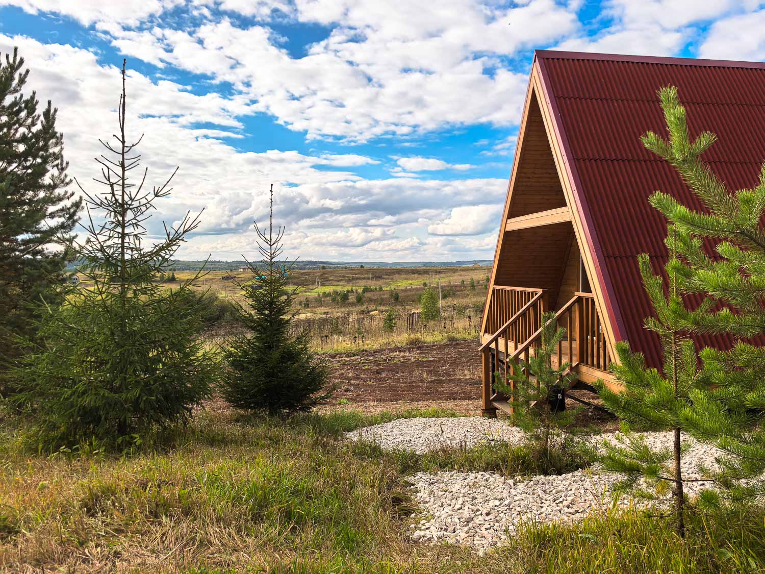 Фото Елки Иголки