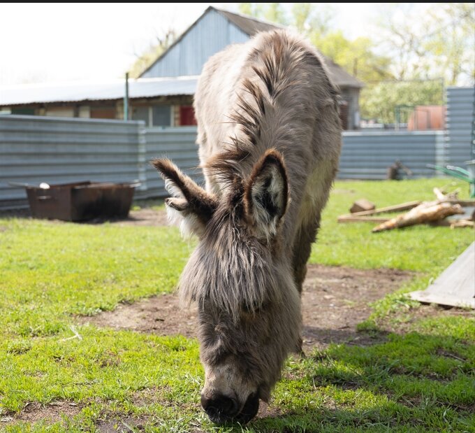 Фото Хуторок