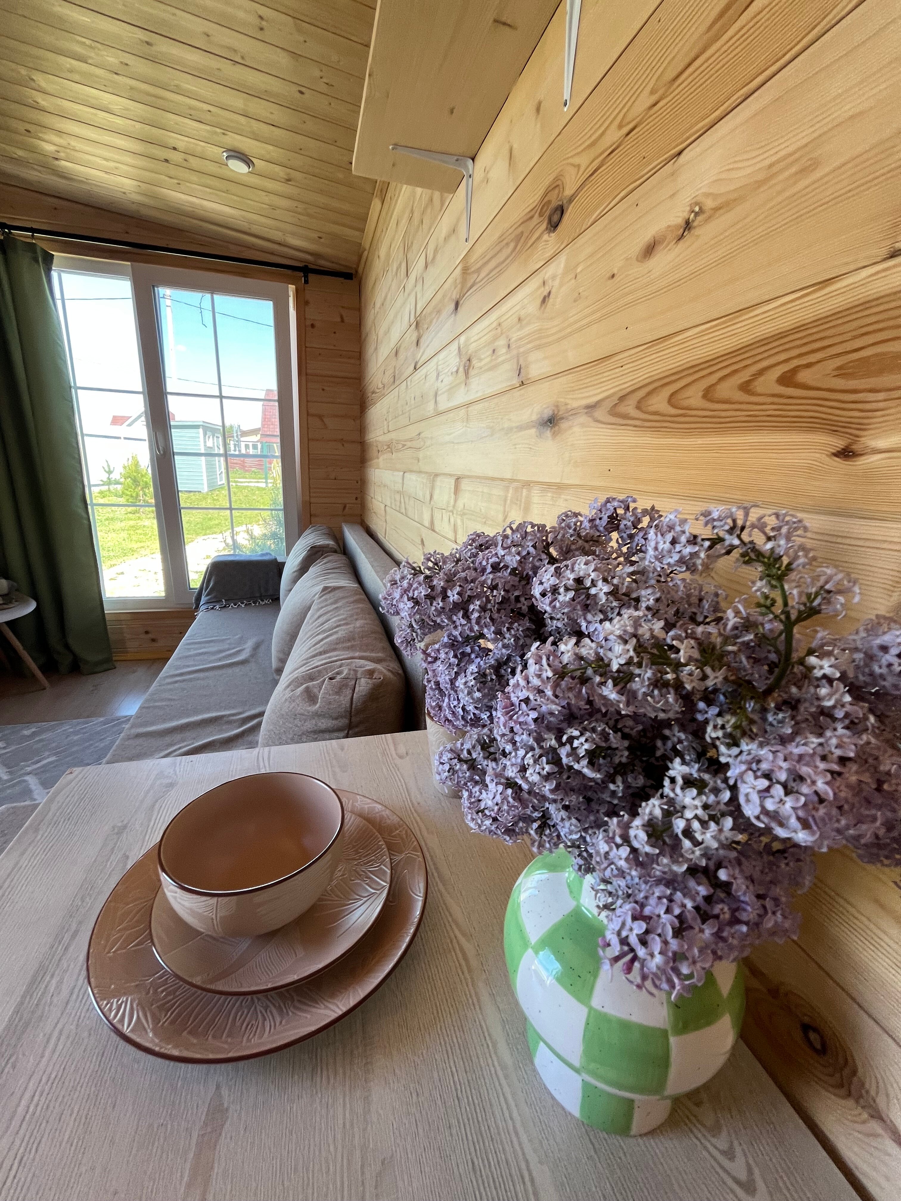 Фото Forest time