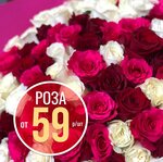 Flovans (Камышовое шоссе, 40), flowers and bouquets delivery