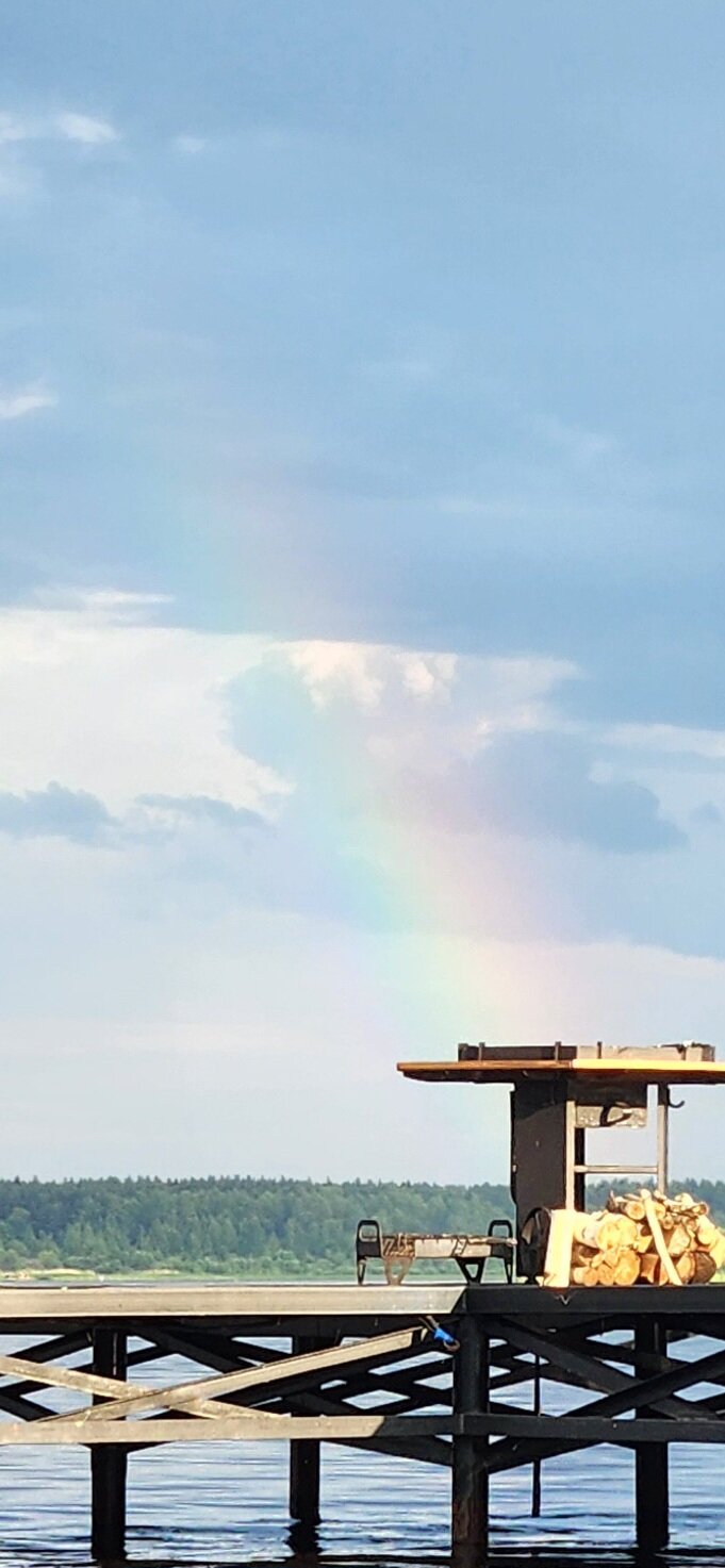 Фото Ёлки зелёные