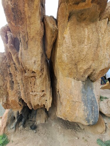 Омбыдағы жыныстық қатынас