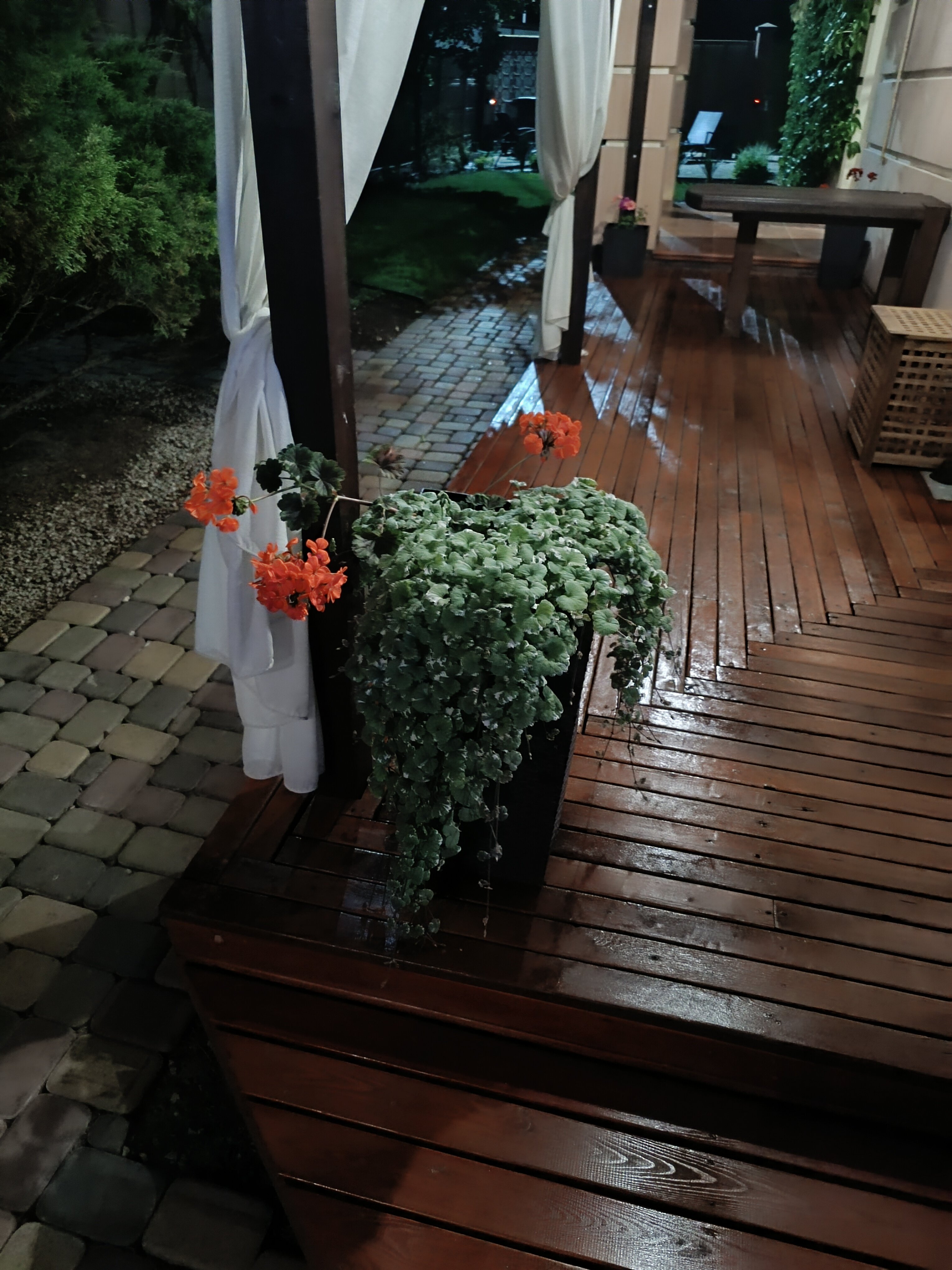 Фото Вилла Магриб и Шарк