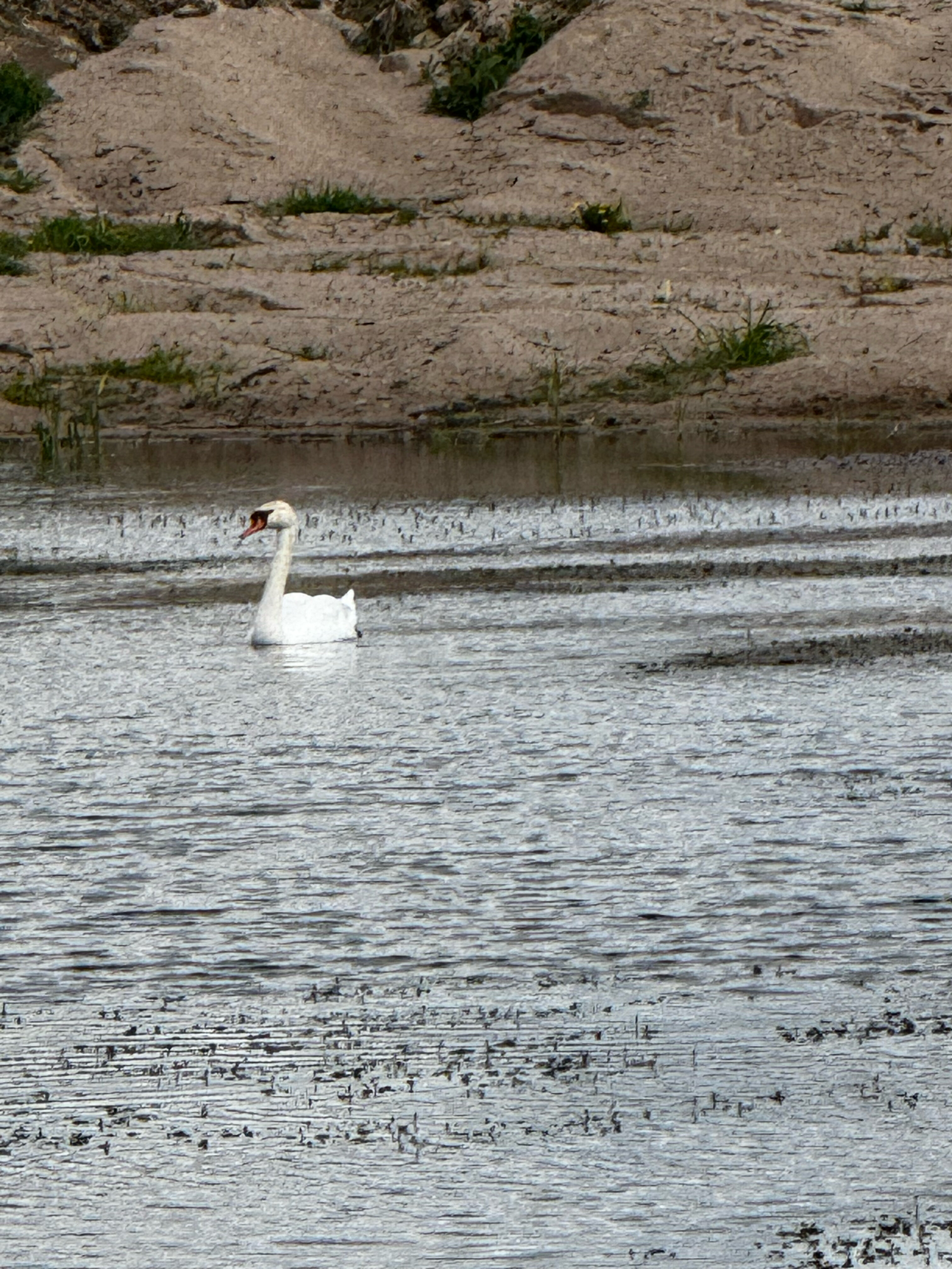 Фото От края до края