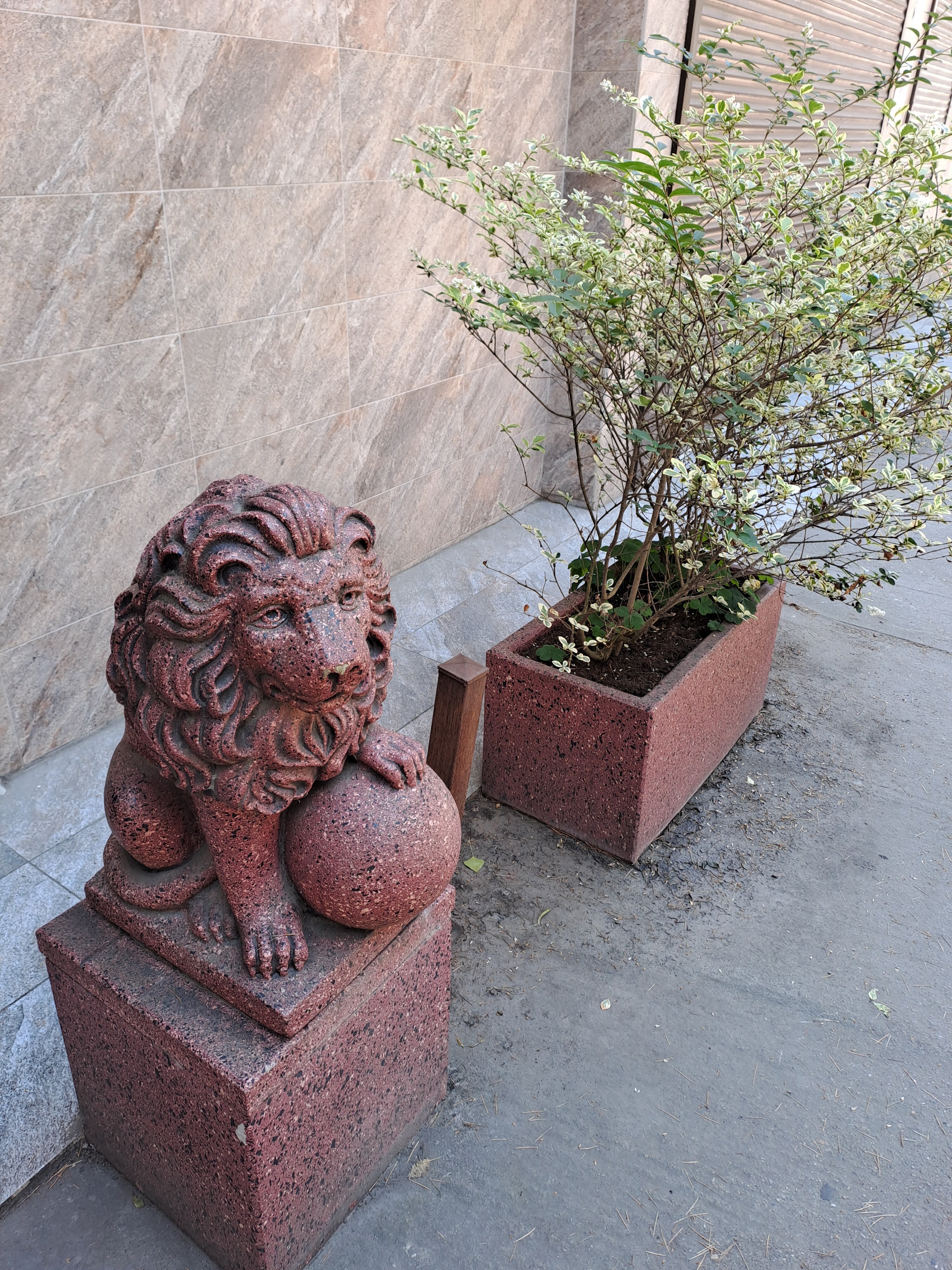 Фото Дельта Нова