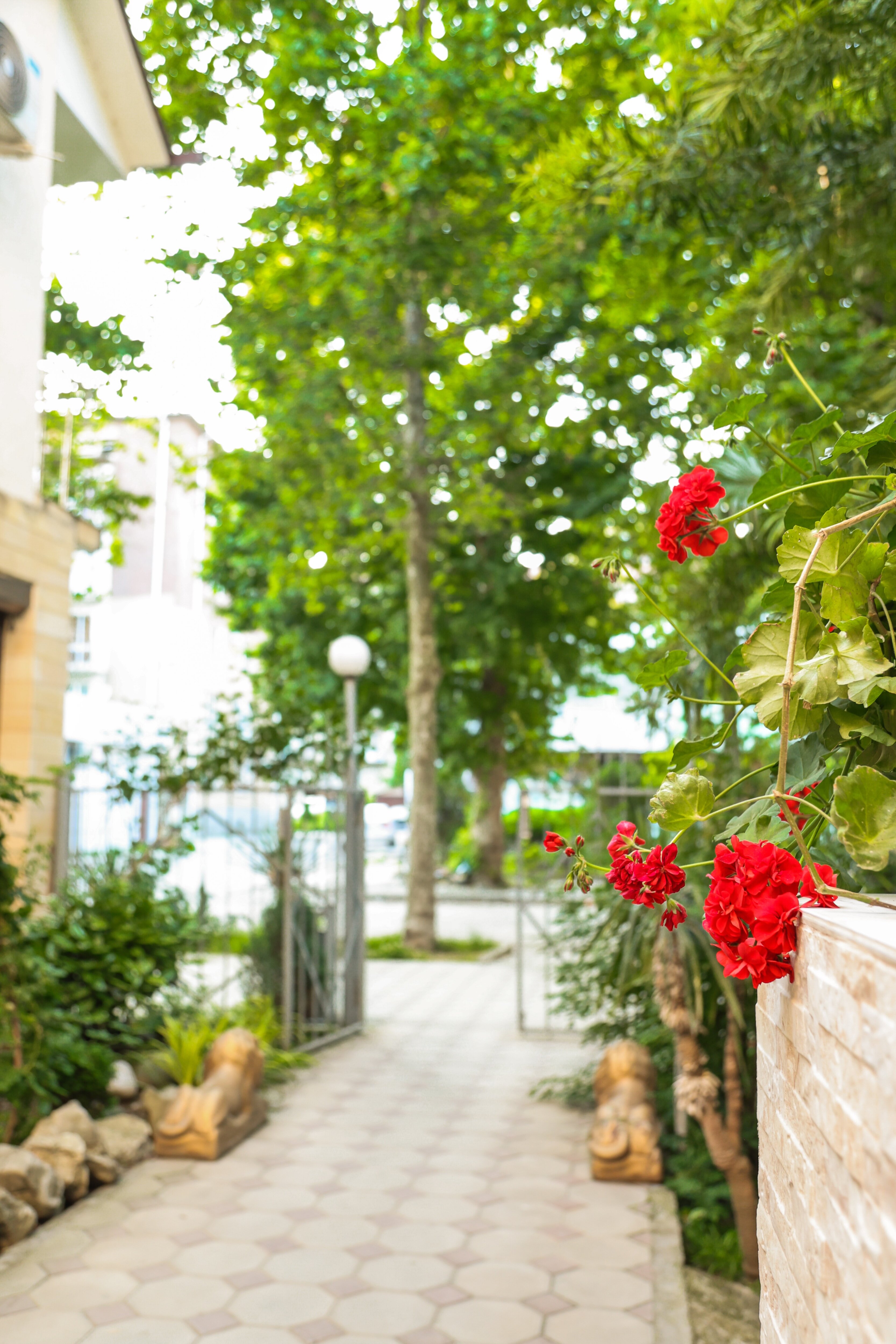 Фото Сабина