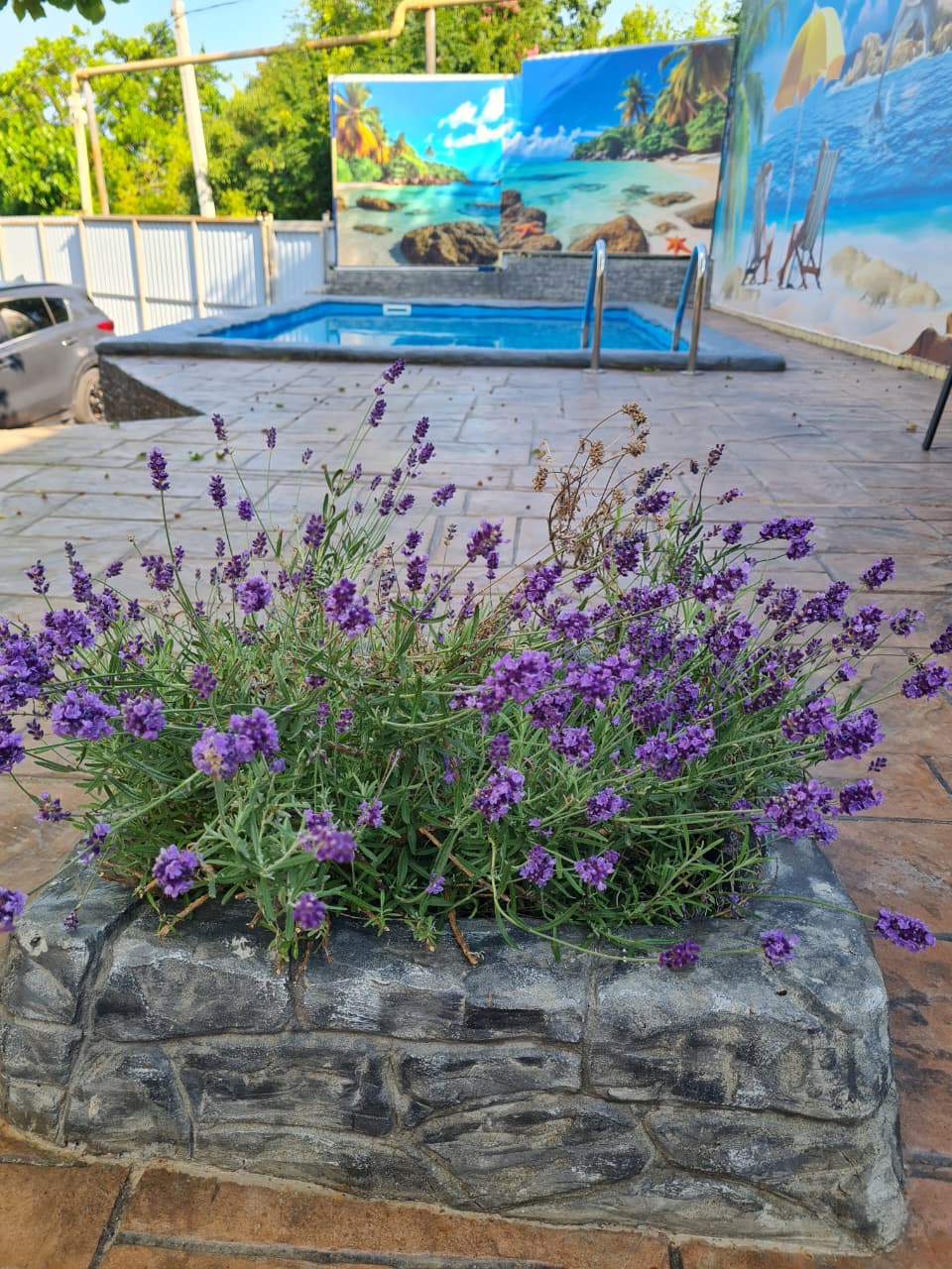 Фото Любовь