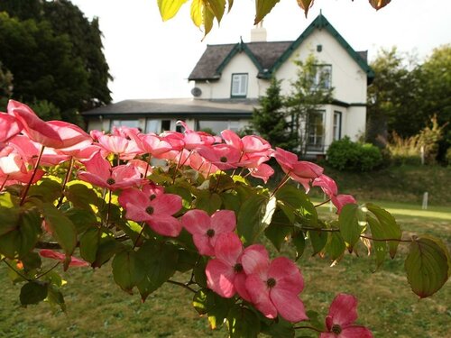 Гостиница Robin Hill House