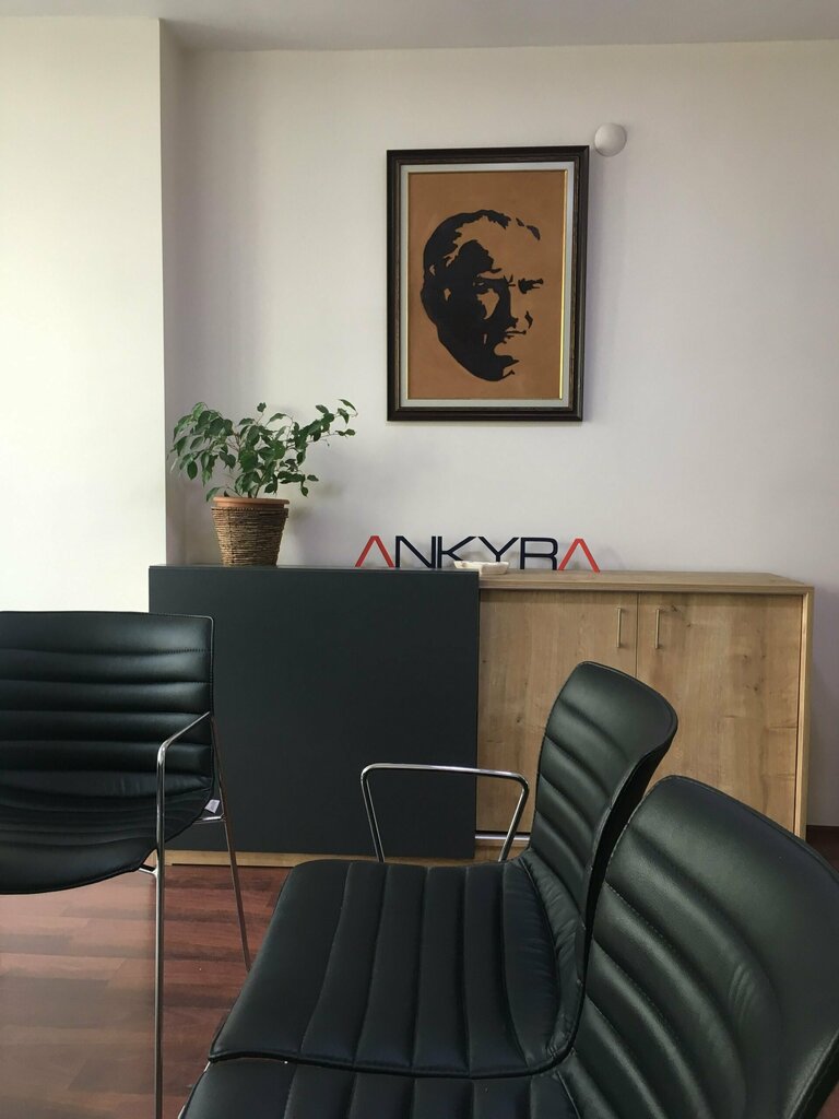 Business consulting Ankyra Consultancy, Ankara, photo