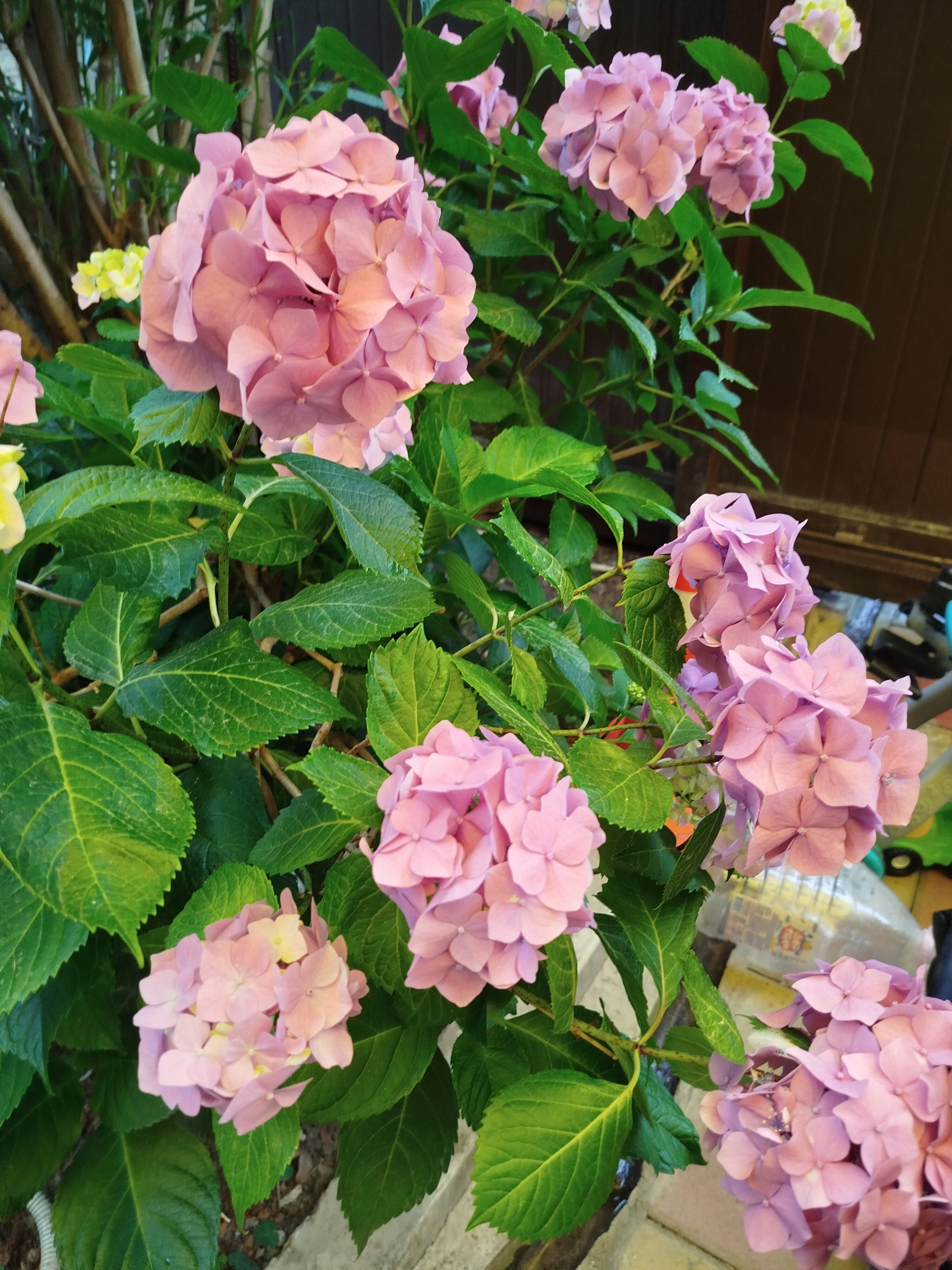 Фото Бухта № 5