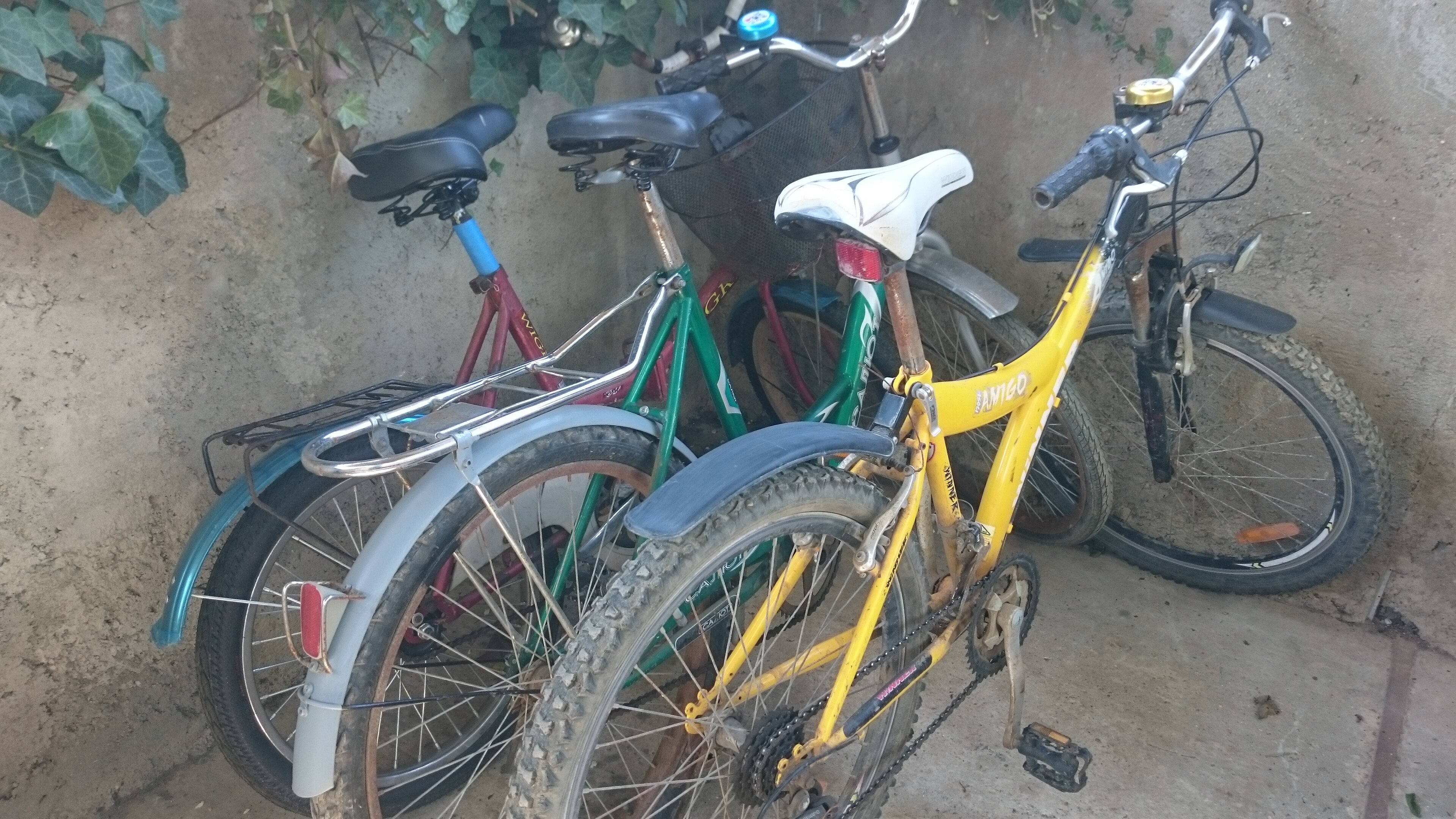 Фото ТО, что надо!