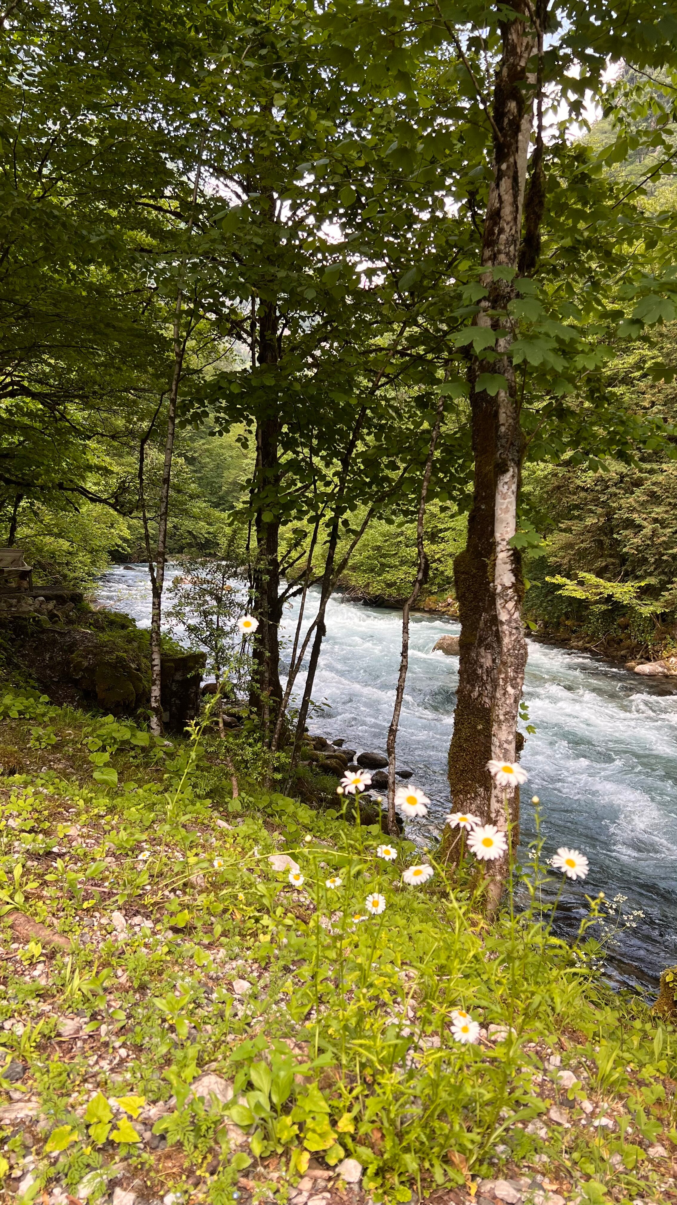 Фото Дом у моря