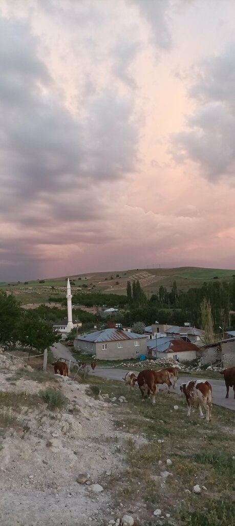 Mosque Eskihamal Village Ayranca Mezra Mosque, Gurun, photo