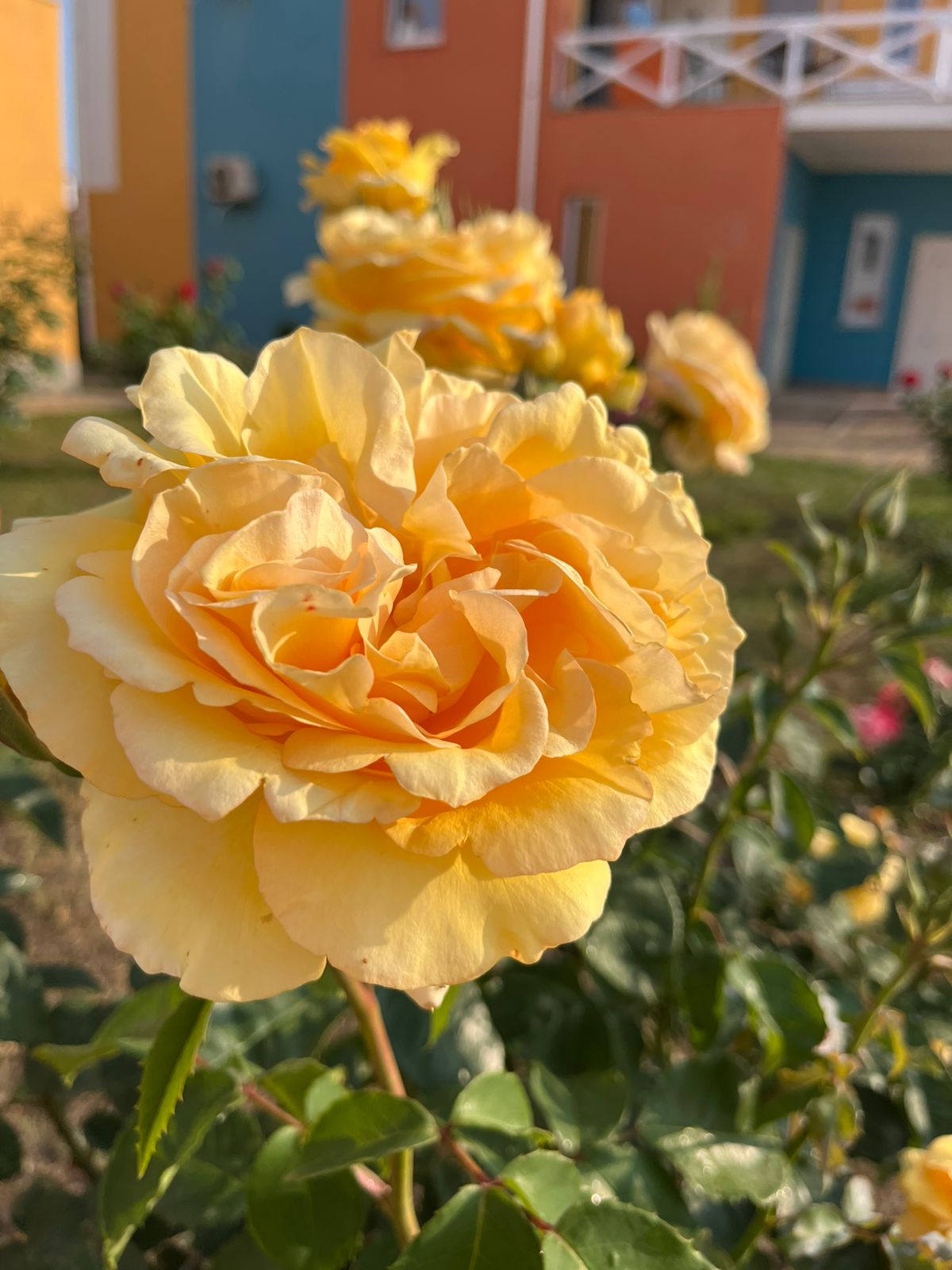 Фото Апартаменты в Бухте Круглой