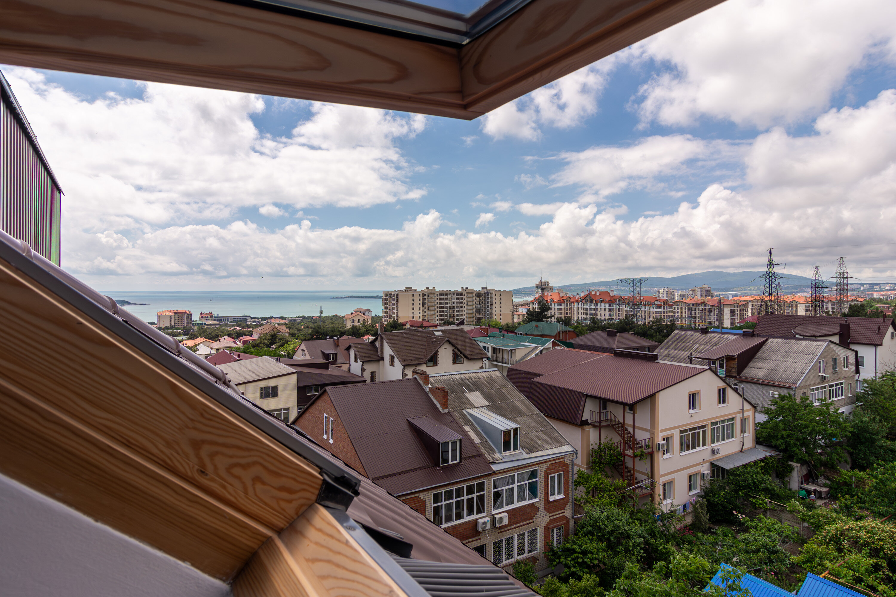 Фото Кипарис