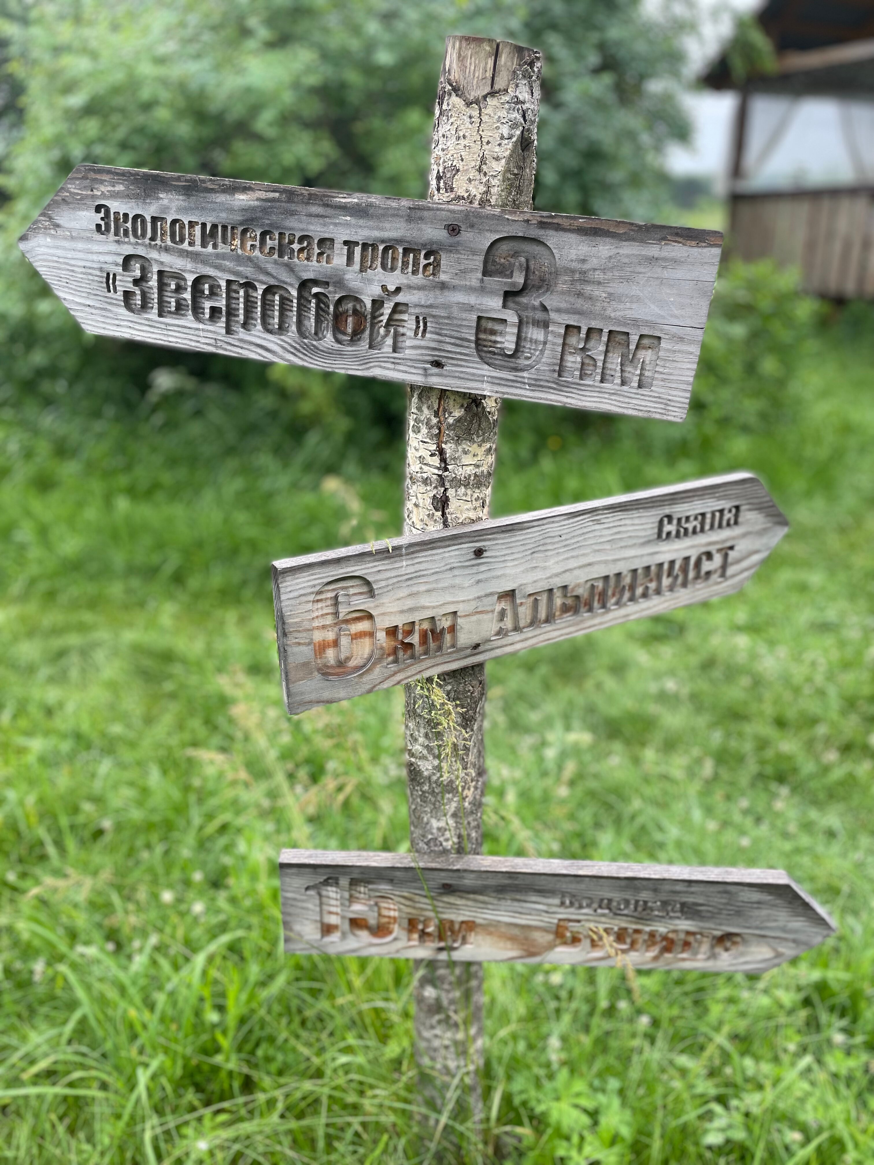 Фото Глэмпинг Стрекоза