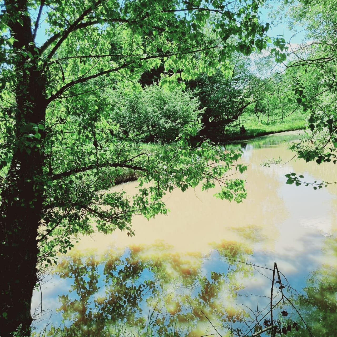 Фото Большая Лаба