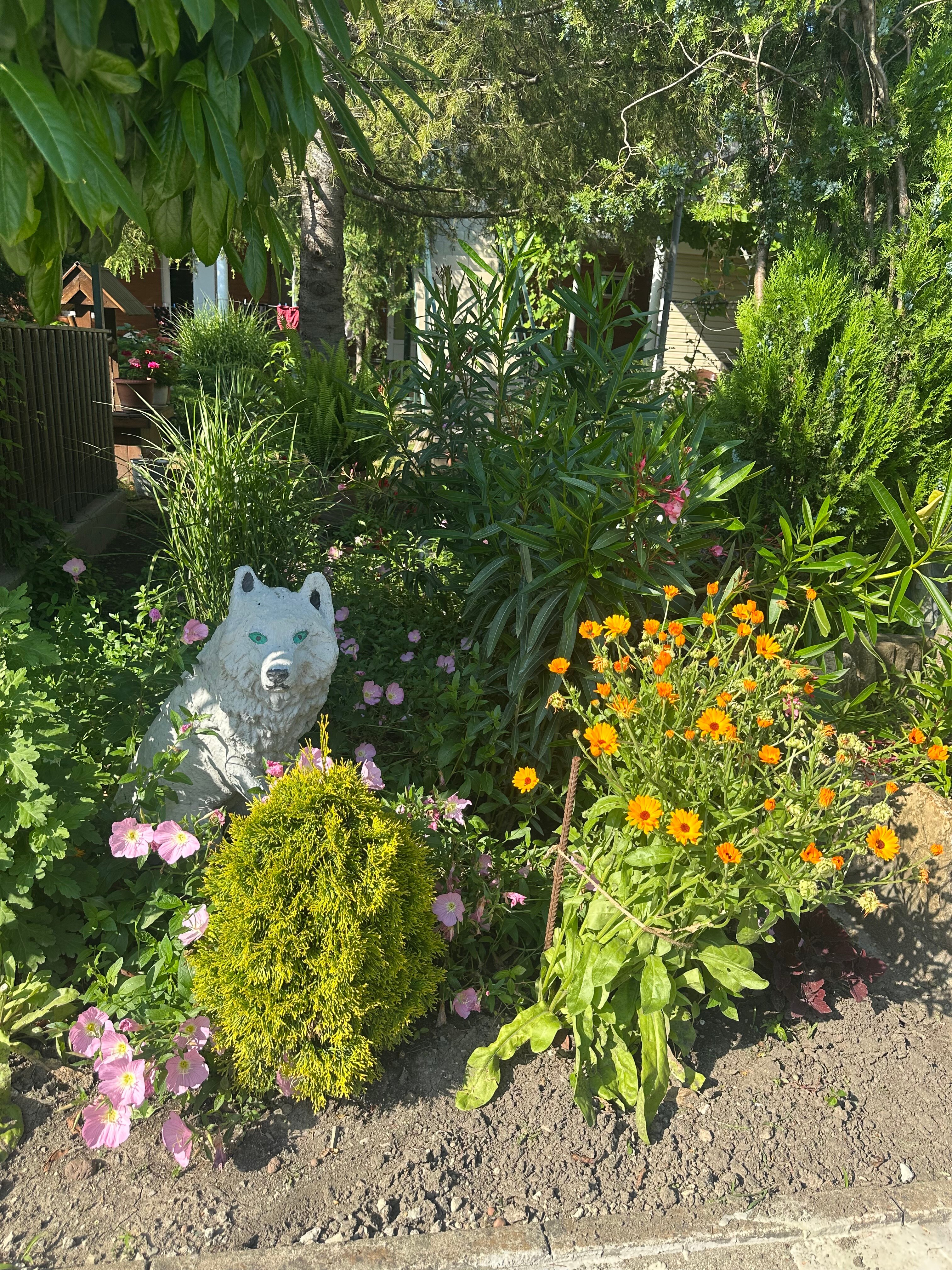 Фото Сибирячка