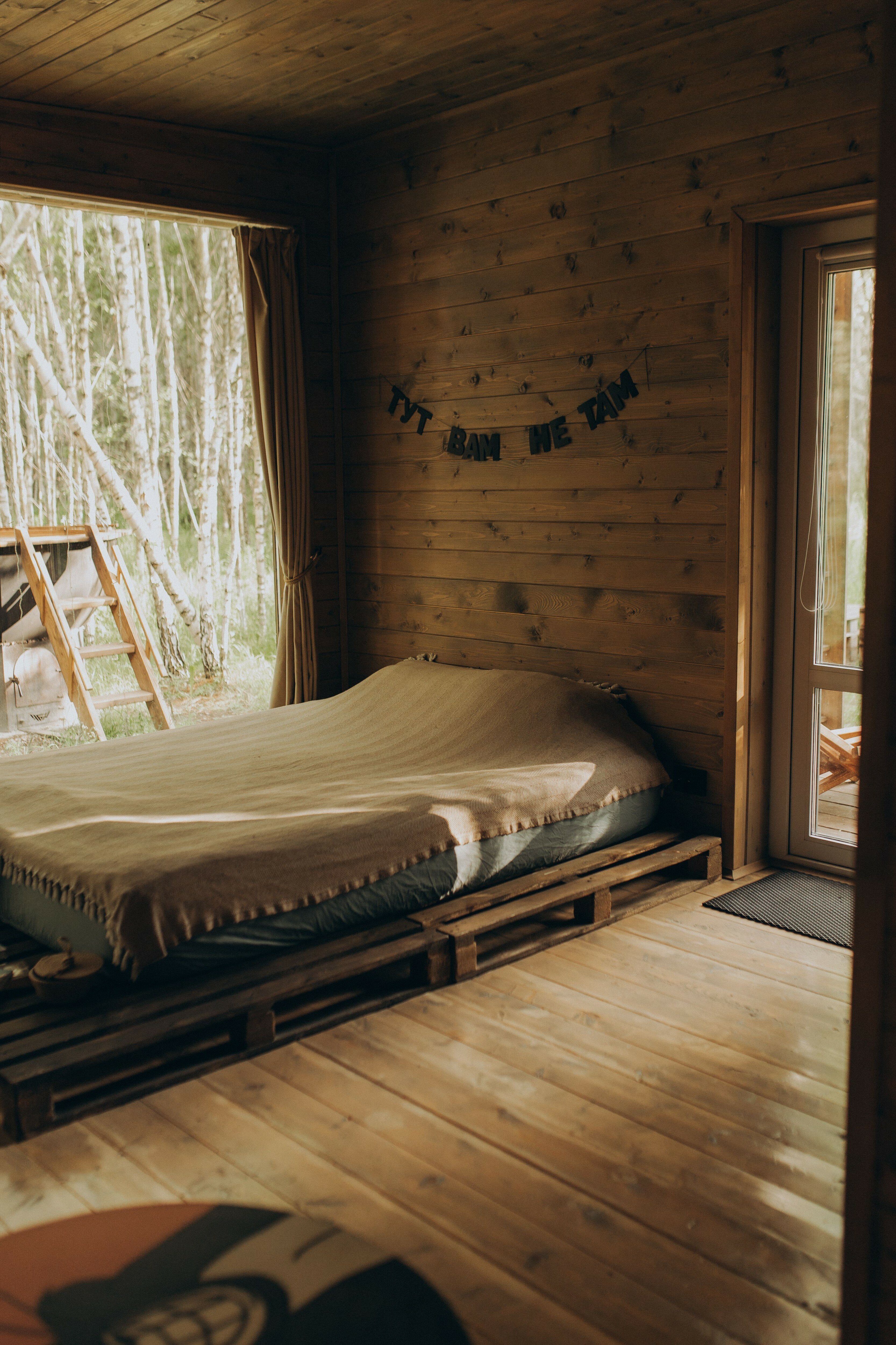 Фото Два зайца