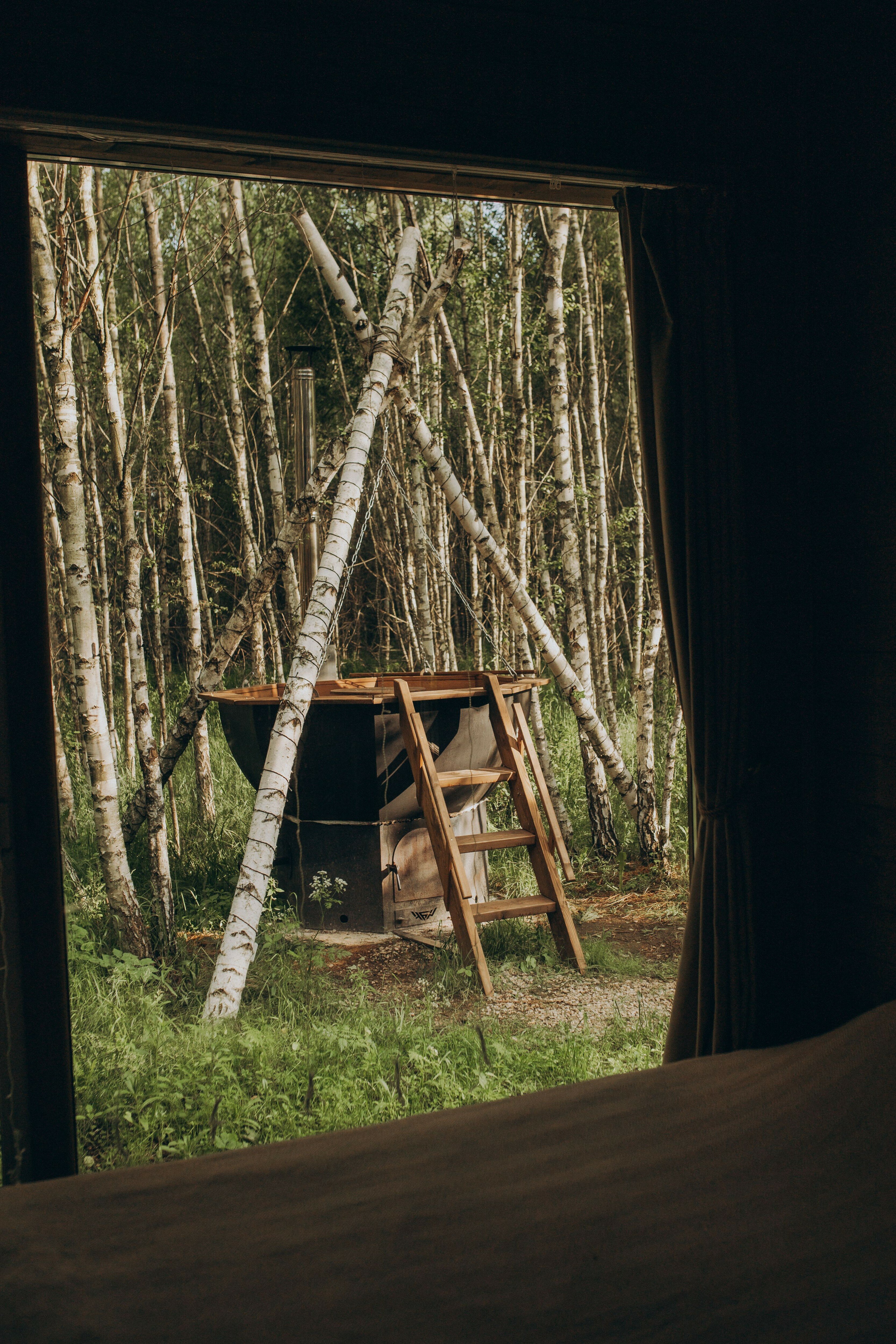 Фото Два зайца