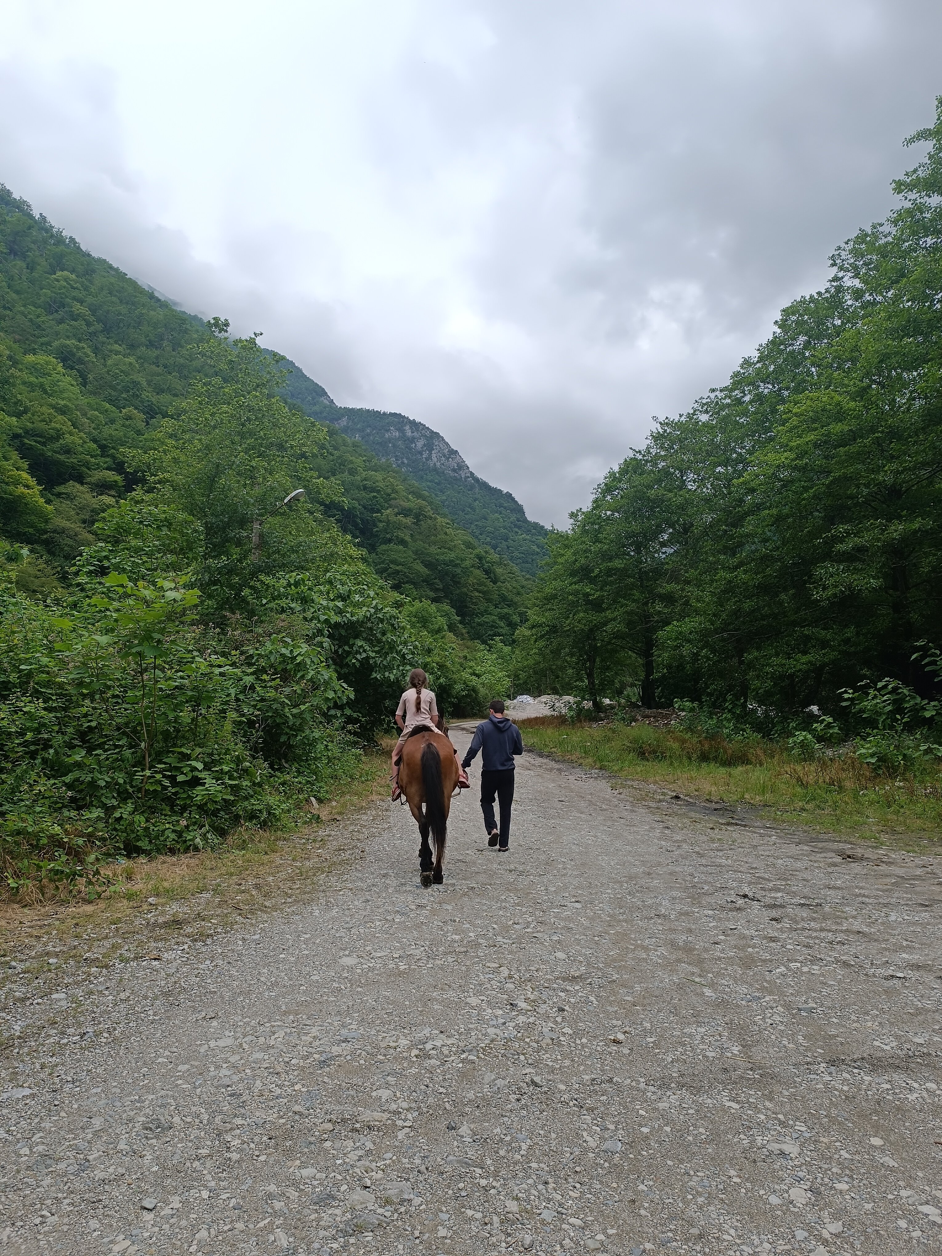 Фото Гостевой дом Старая Гагра