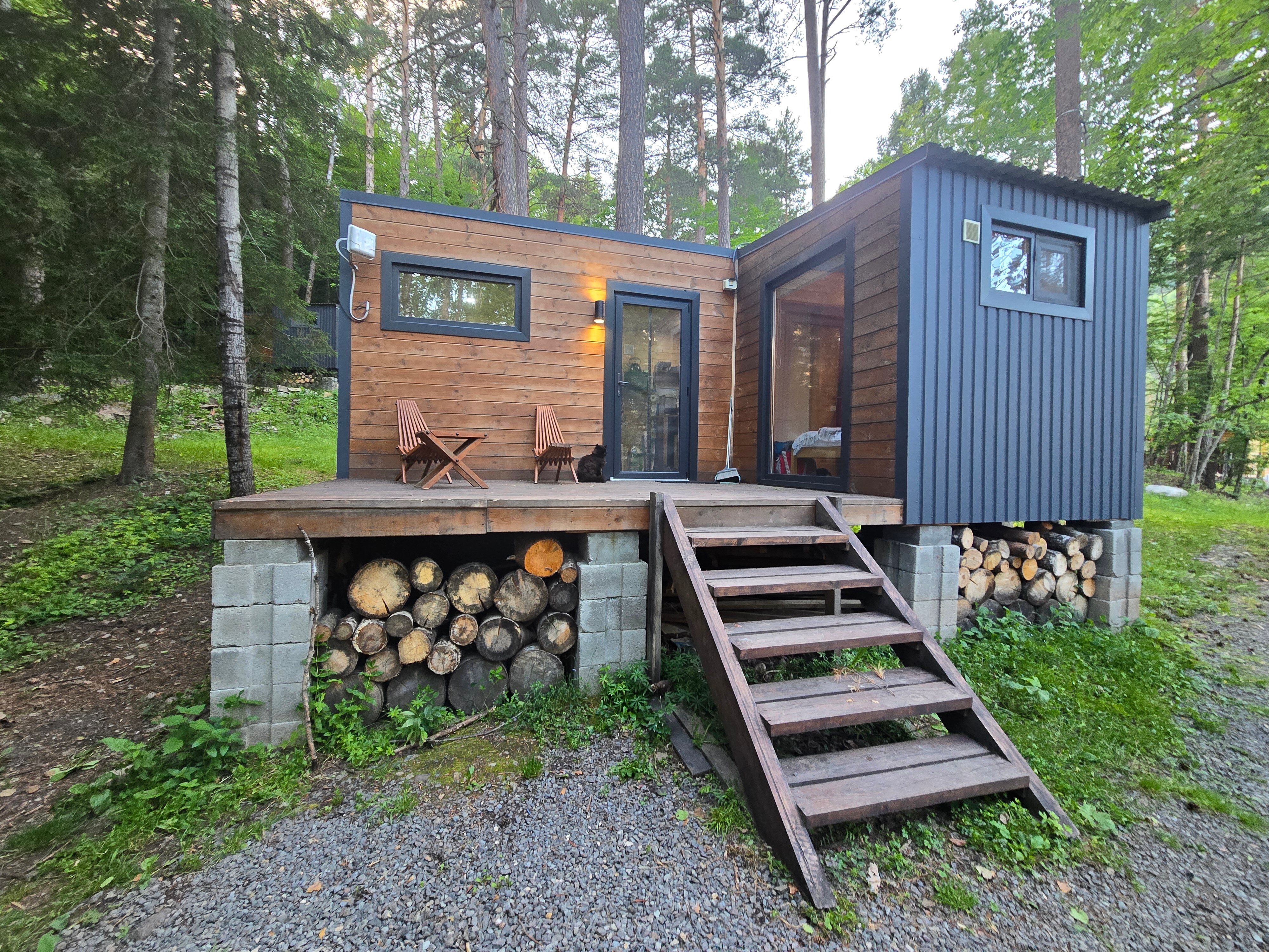 Фото Шелест