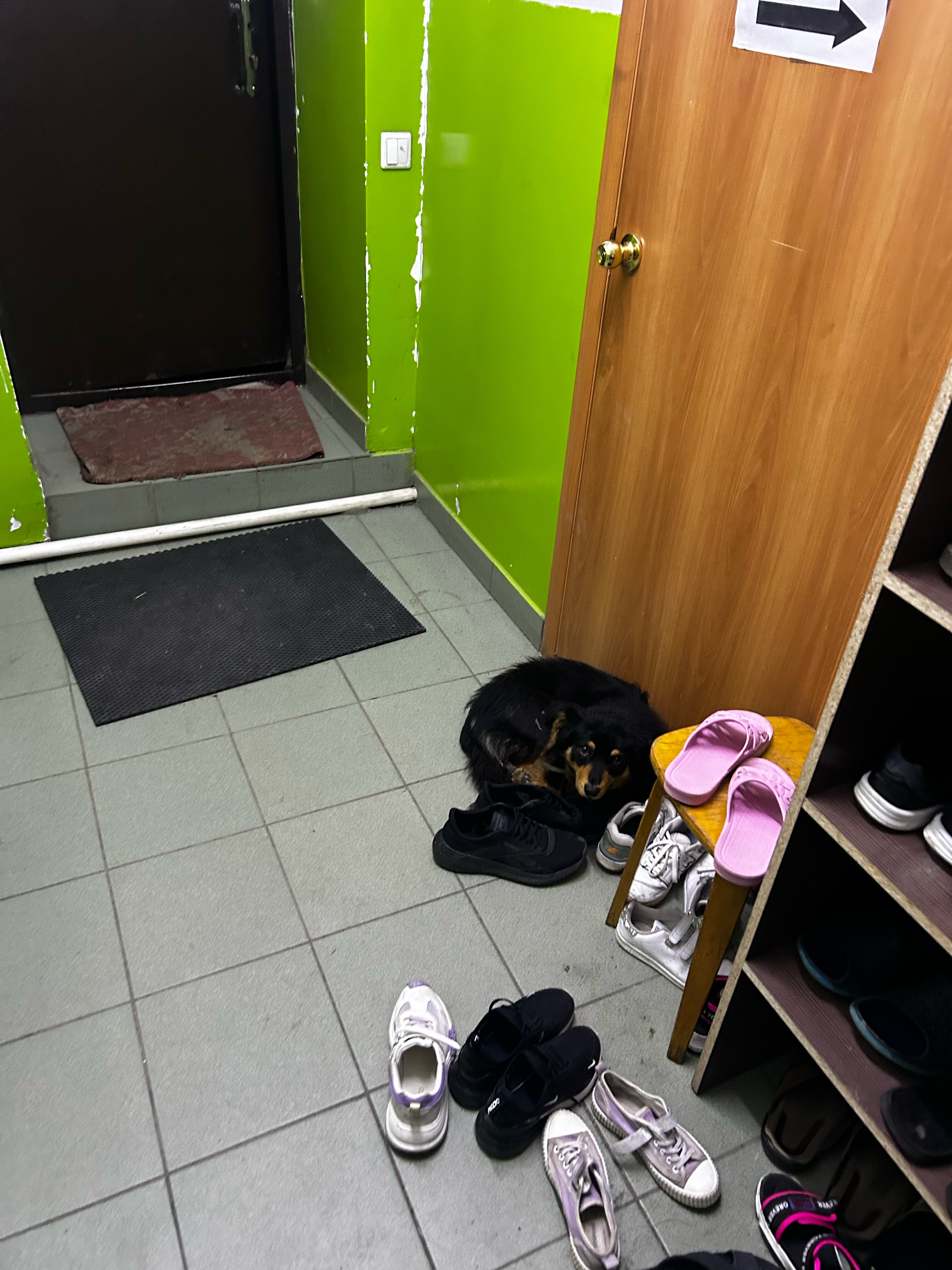 Фото Горный