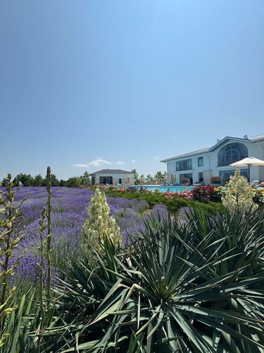 Otel Villa Romanov Wine Club & SPA, Krasnodarski krayı, foto