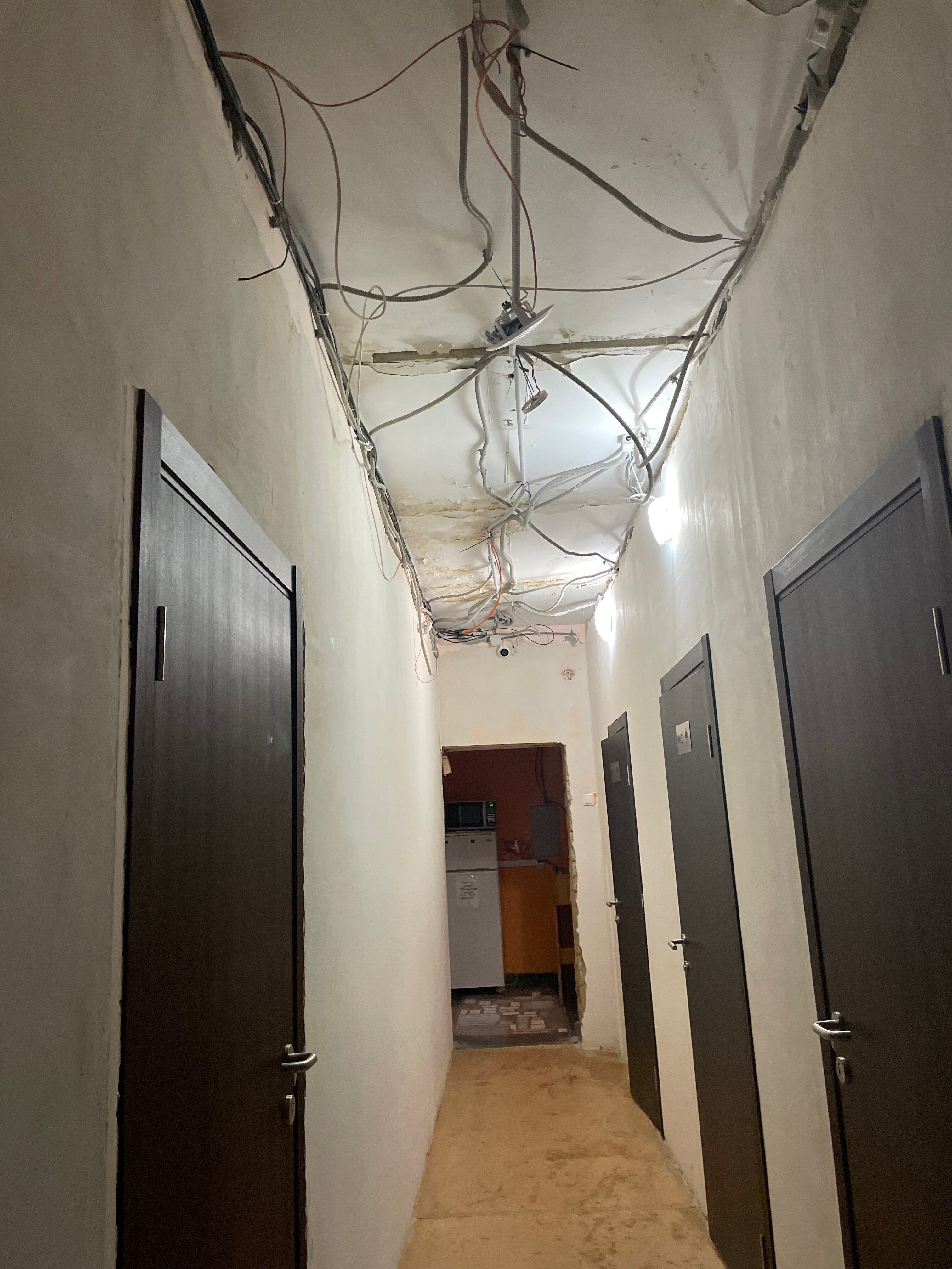 Фото Фаворит