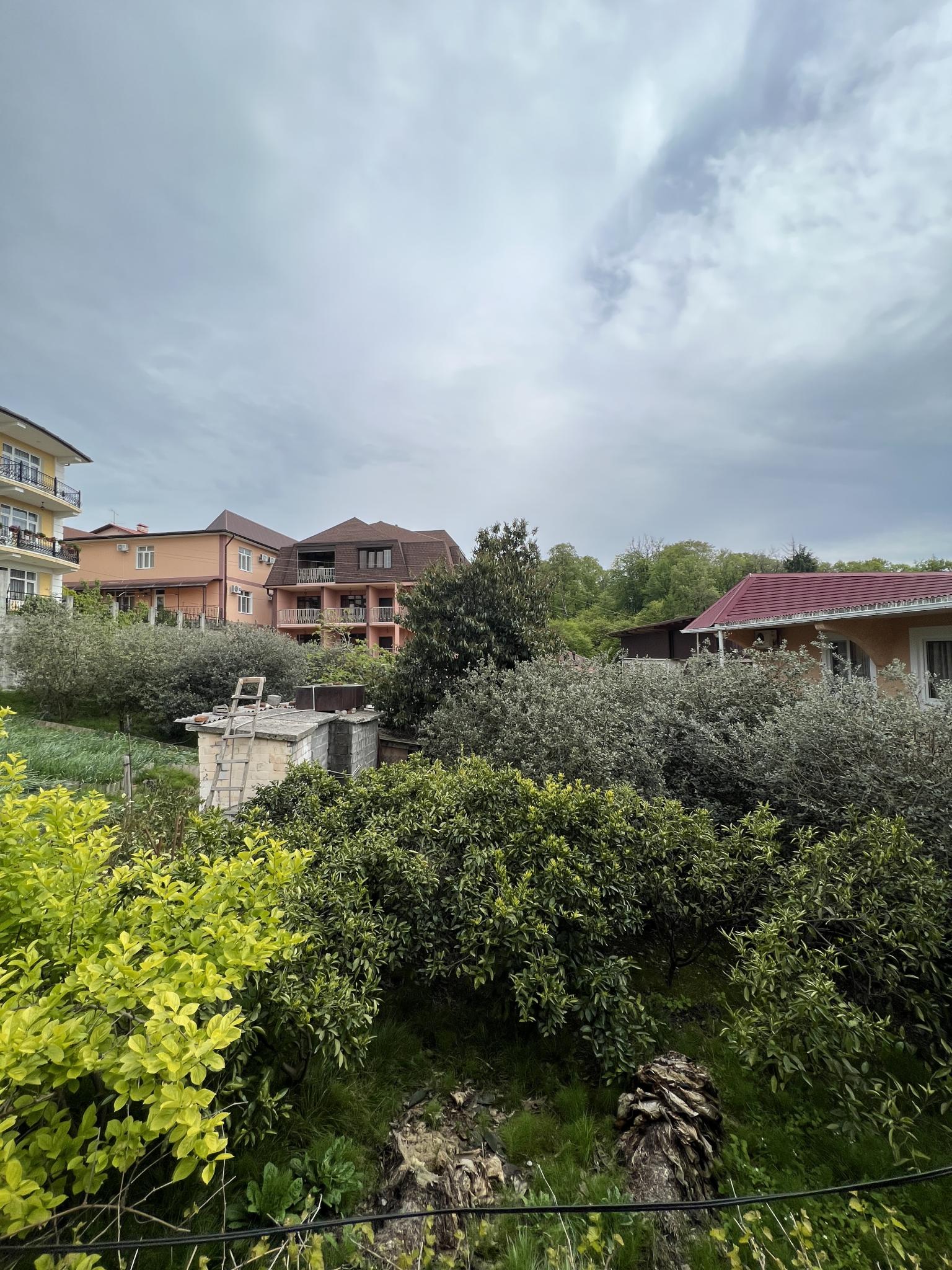 Фото Эвелина