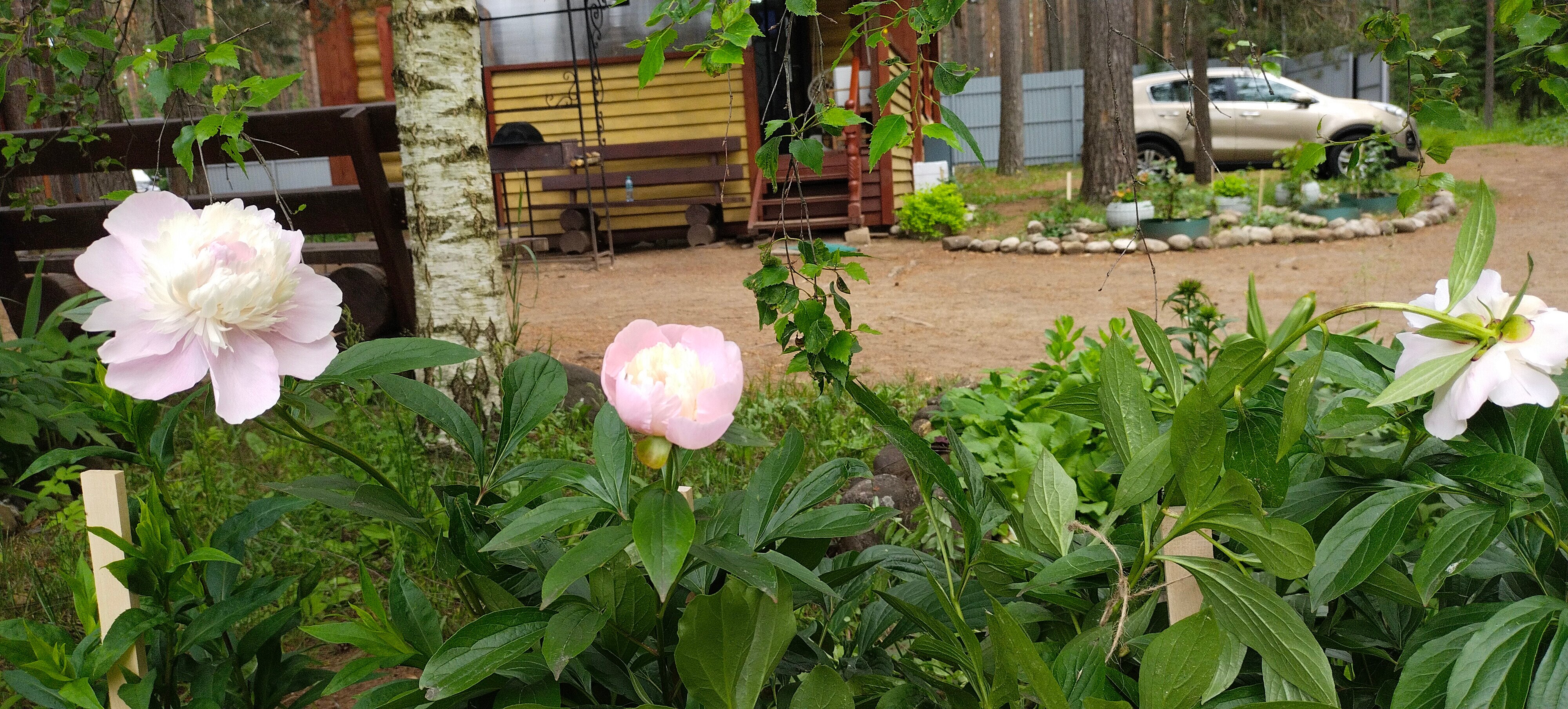 Фото Отдых на Волго