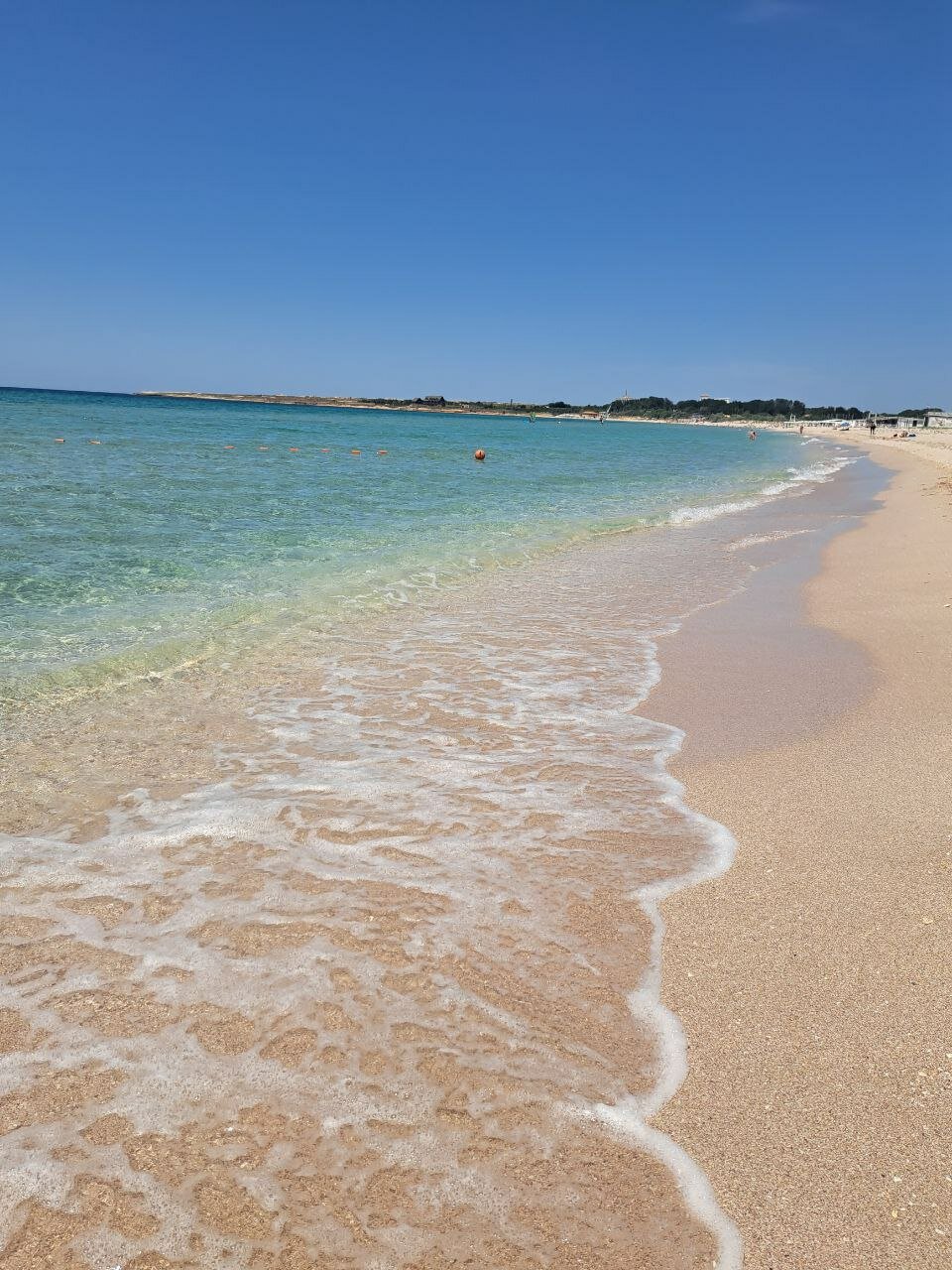 Фото Клевер