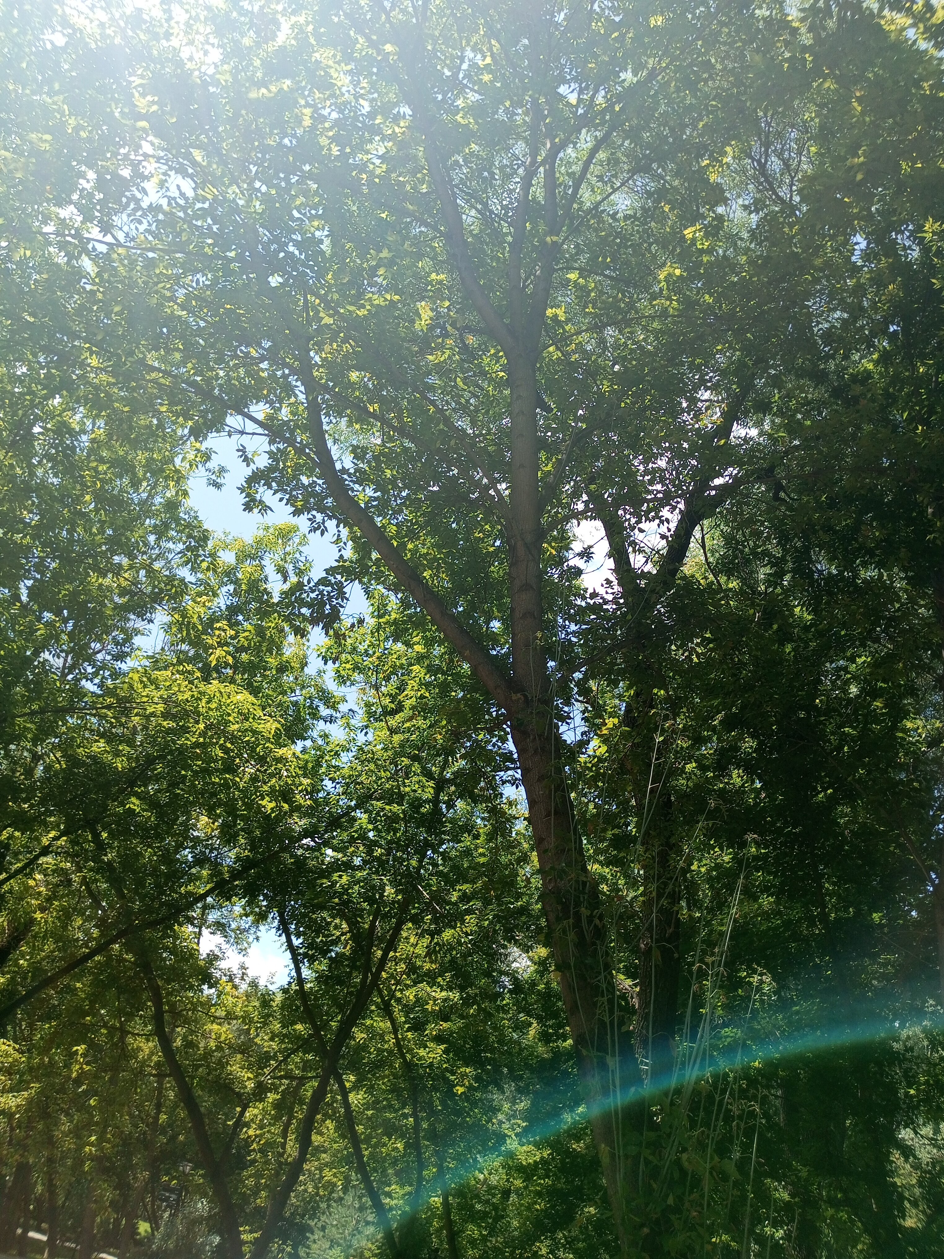 Фото Port Comfort on Petrogradka