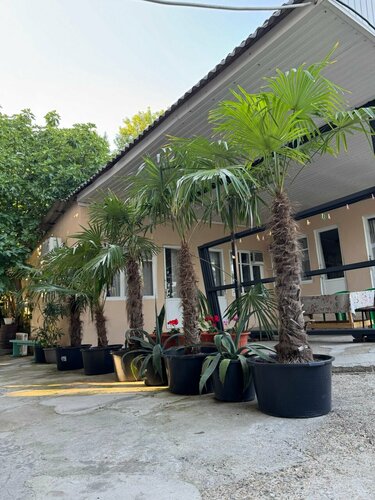 Дом в аренду Аида в Джубге