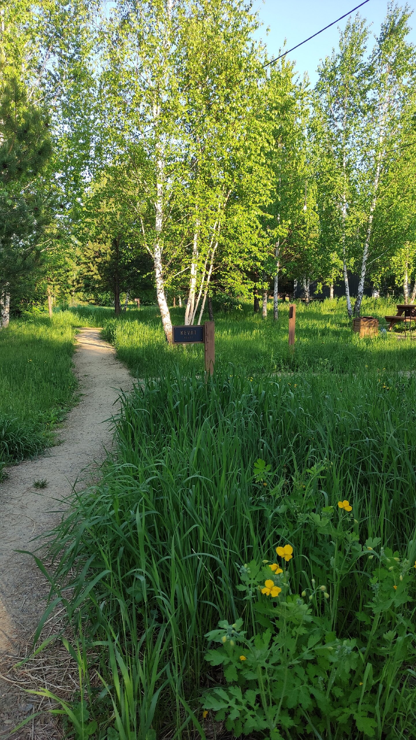 Фото Побег из города