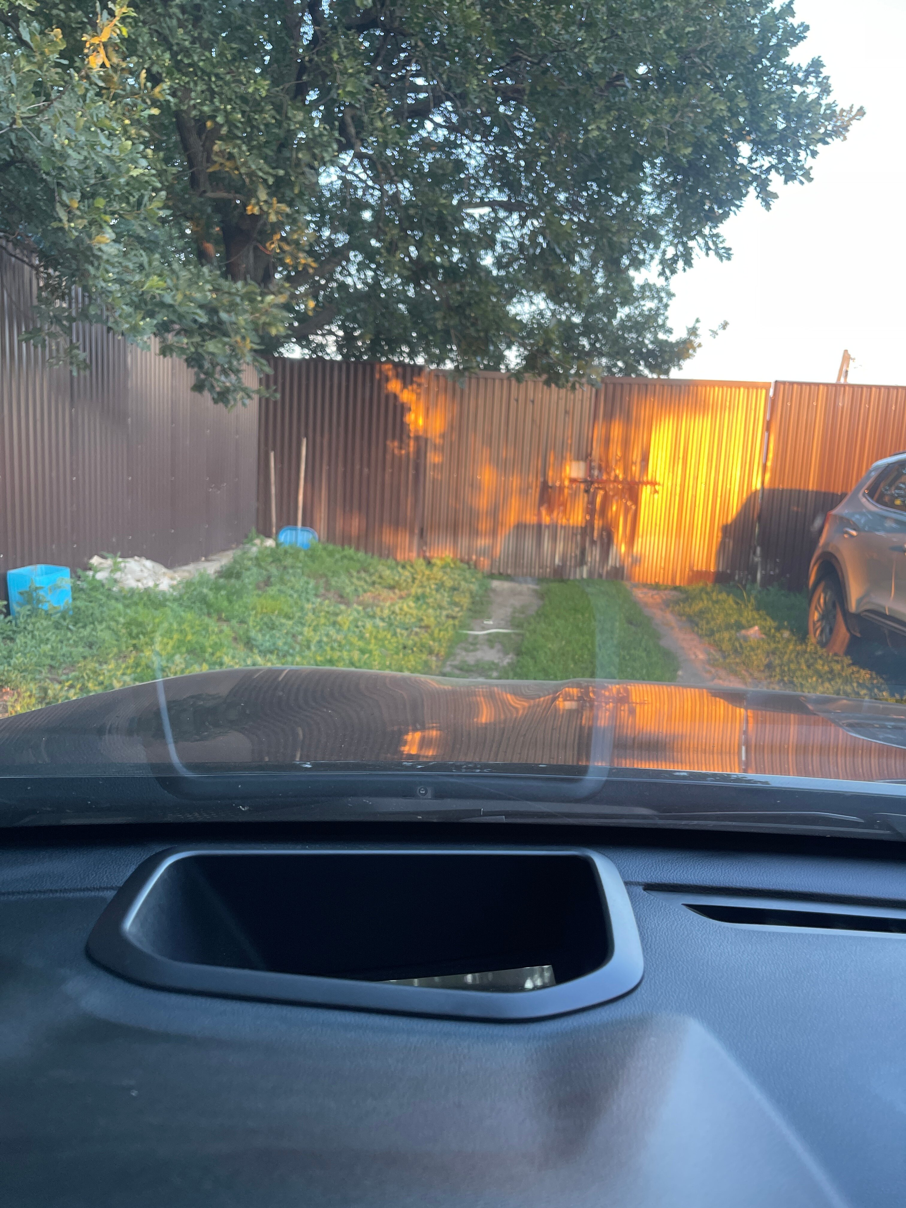 Фото Дубрава