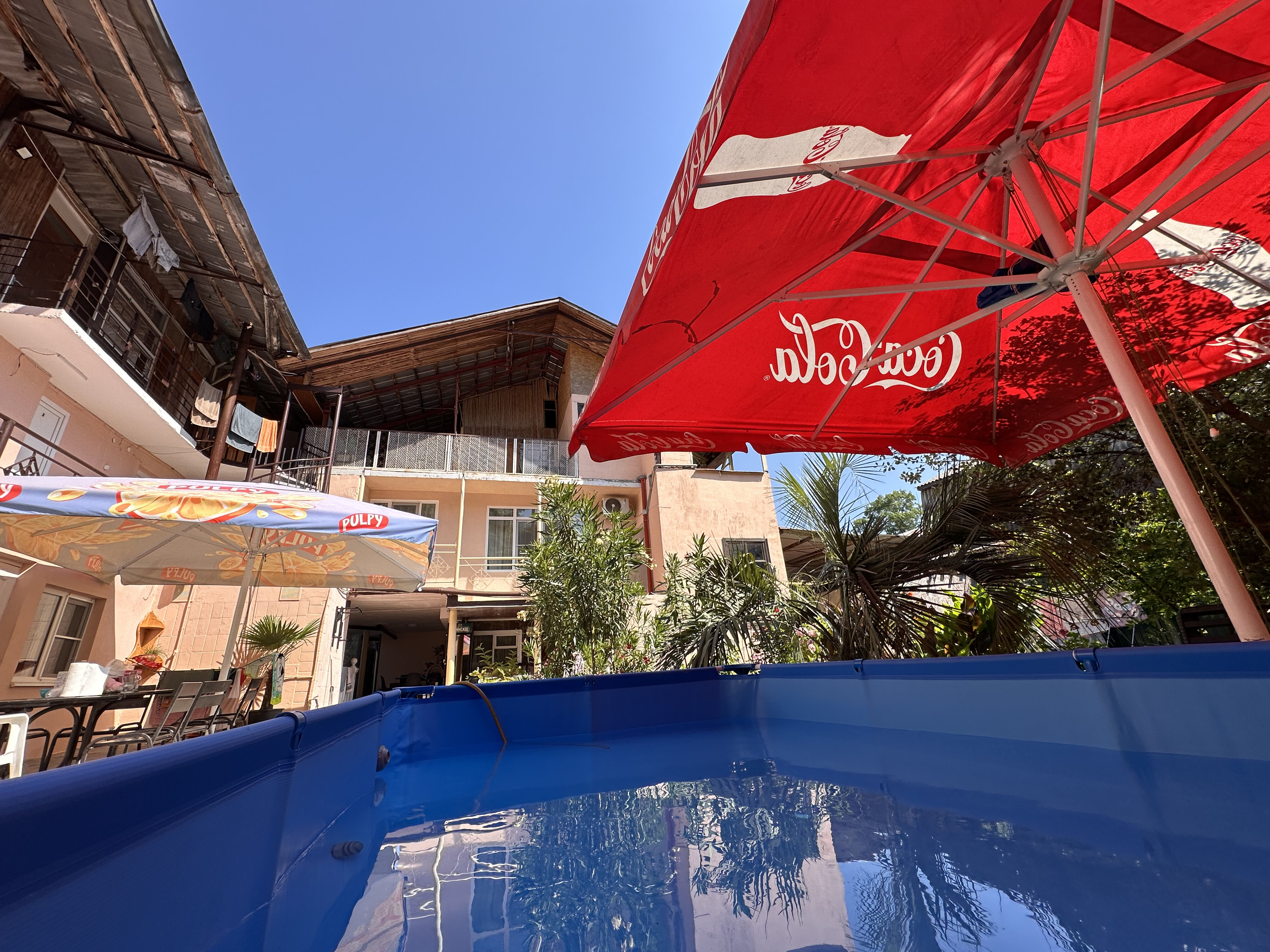 Фото Бамбуковая Роща