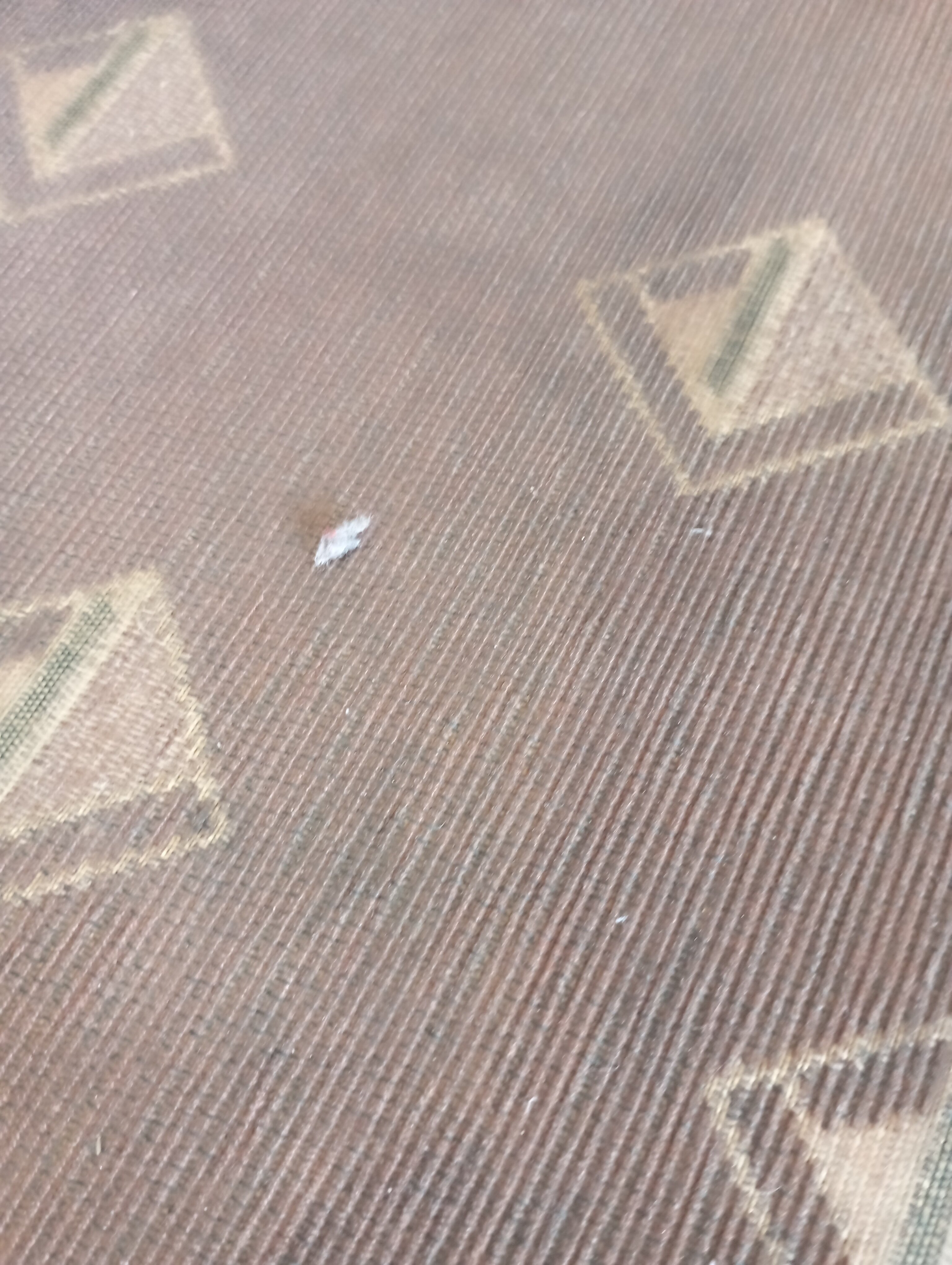 Фото Спортивная