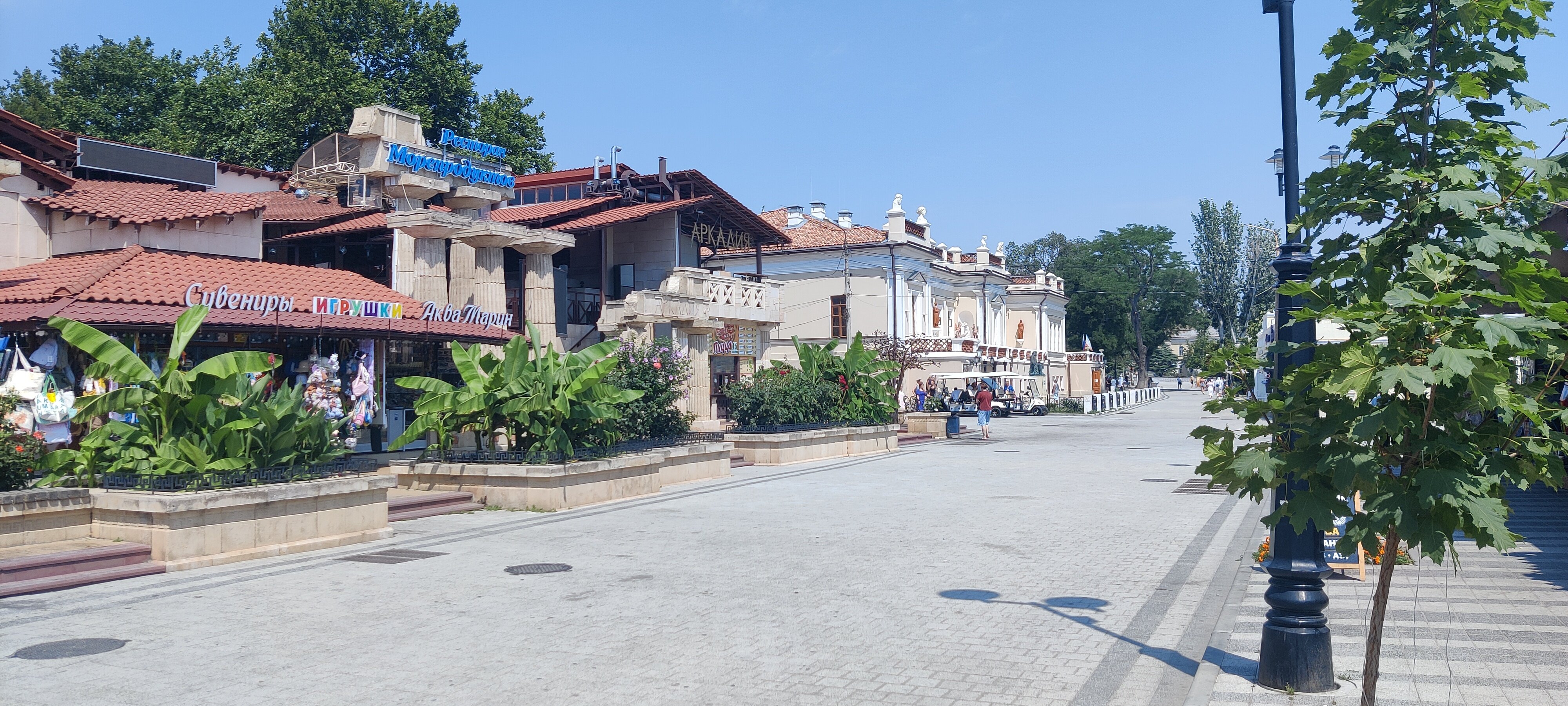 Фото Лавандин