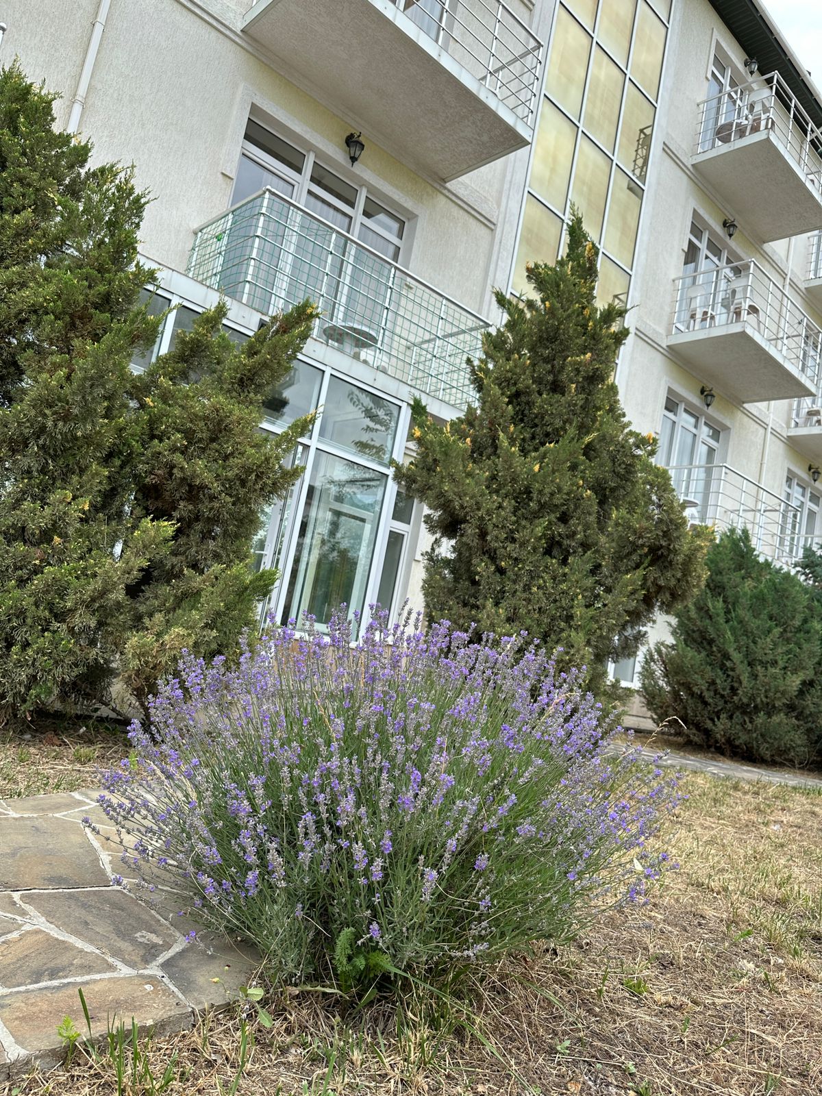 Фото Парадиз