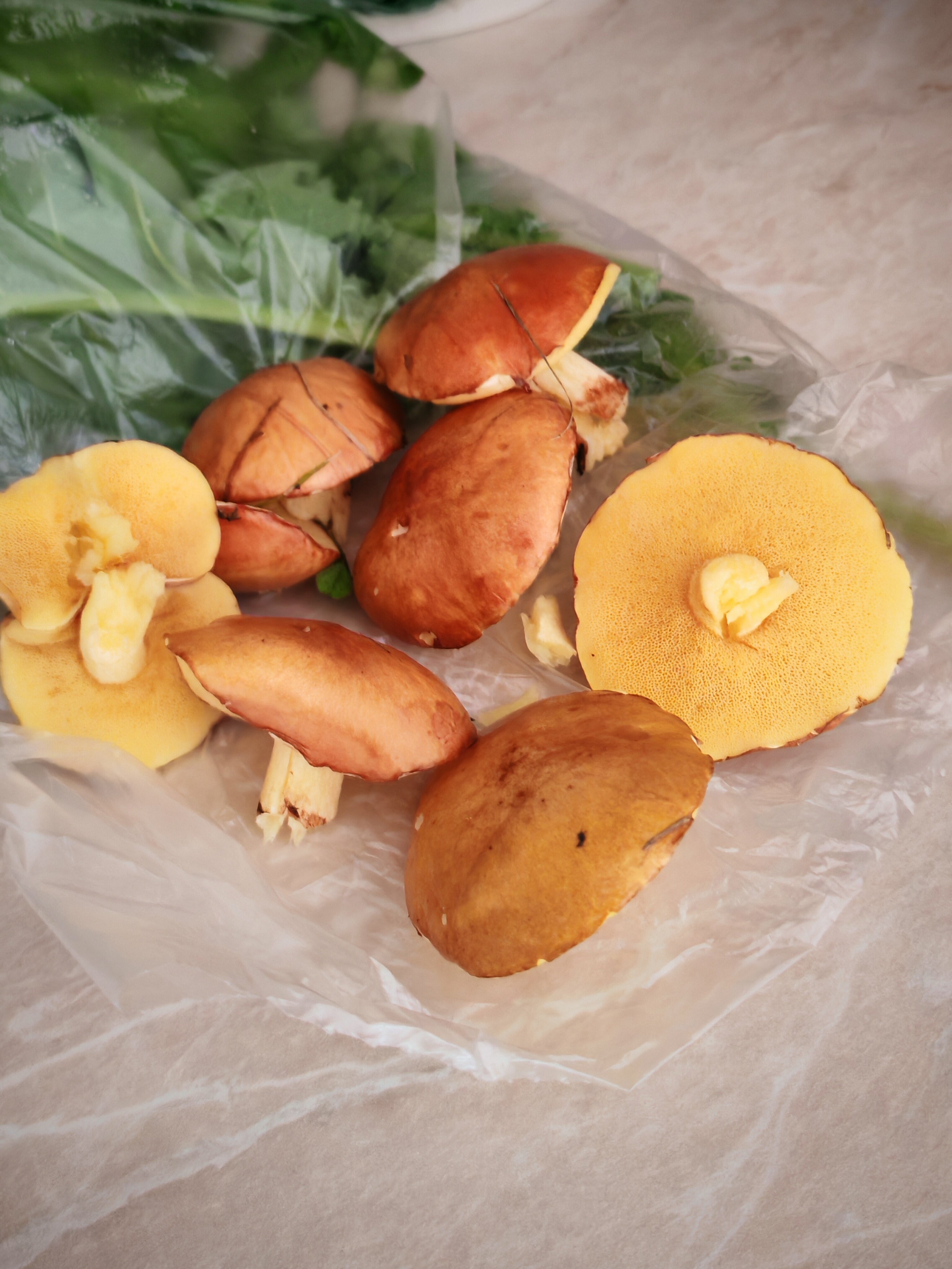 Фото Пятницкий плёс