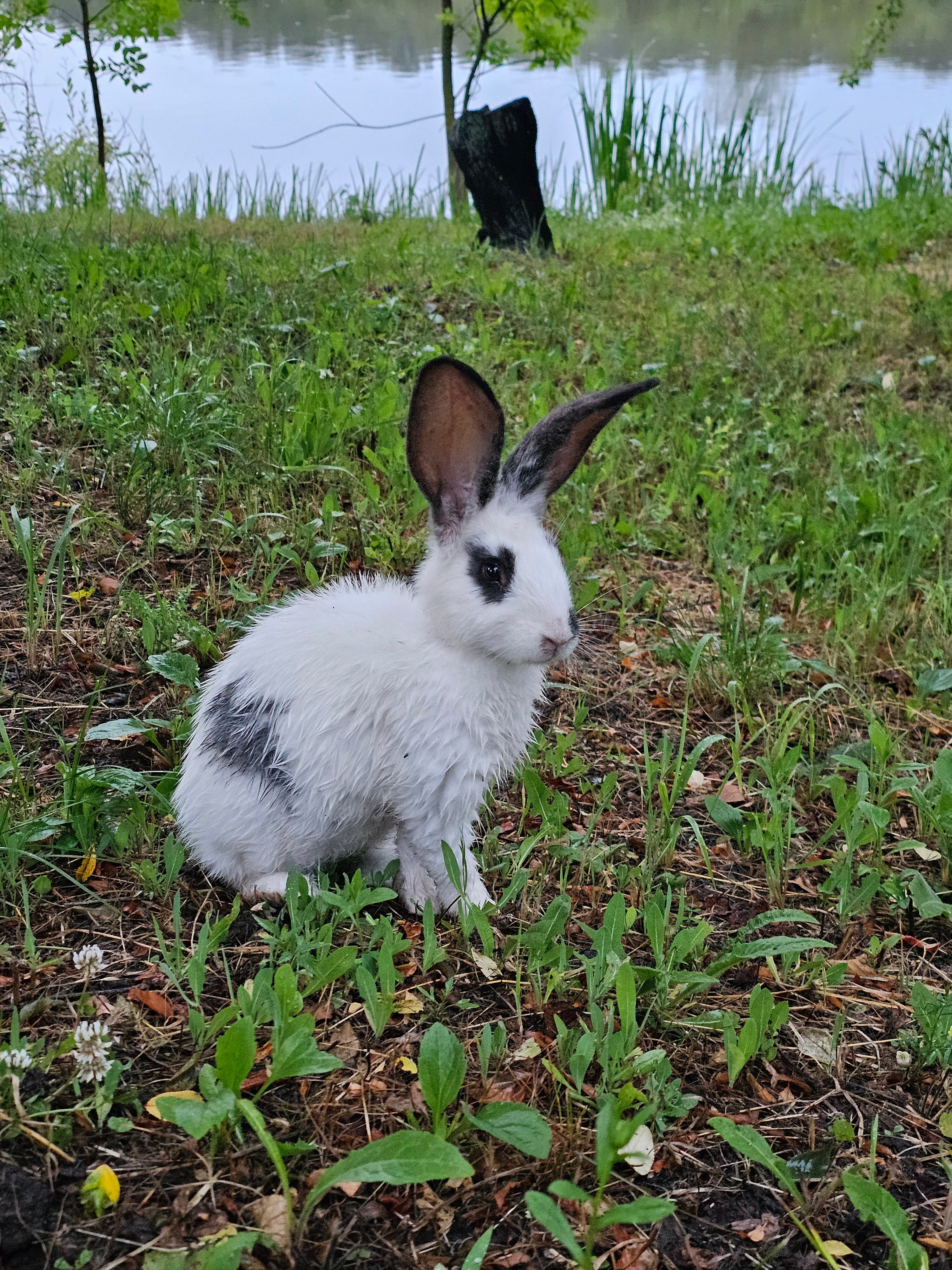 Фото Приозёрье