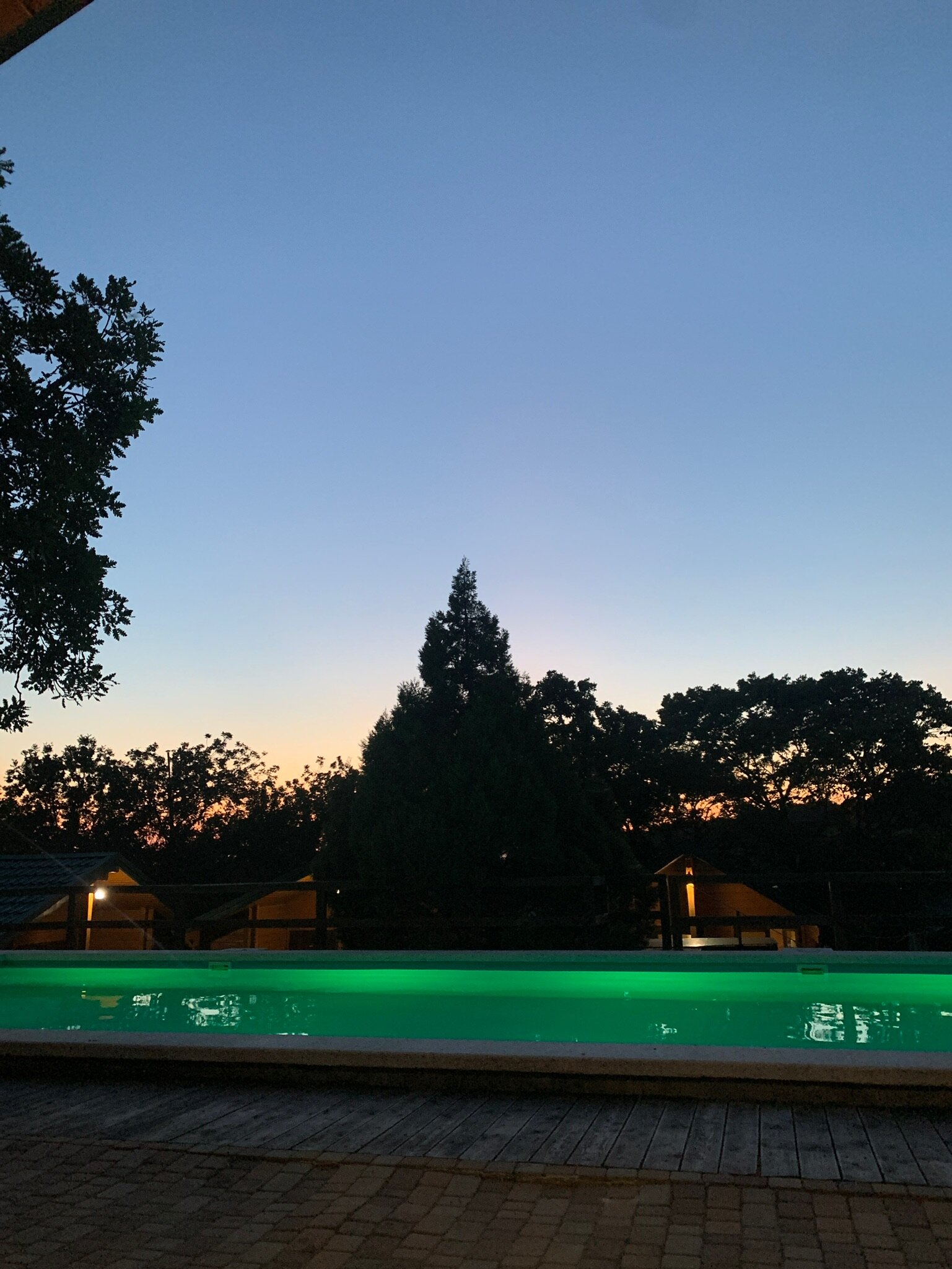 Фото Лесной дворик