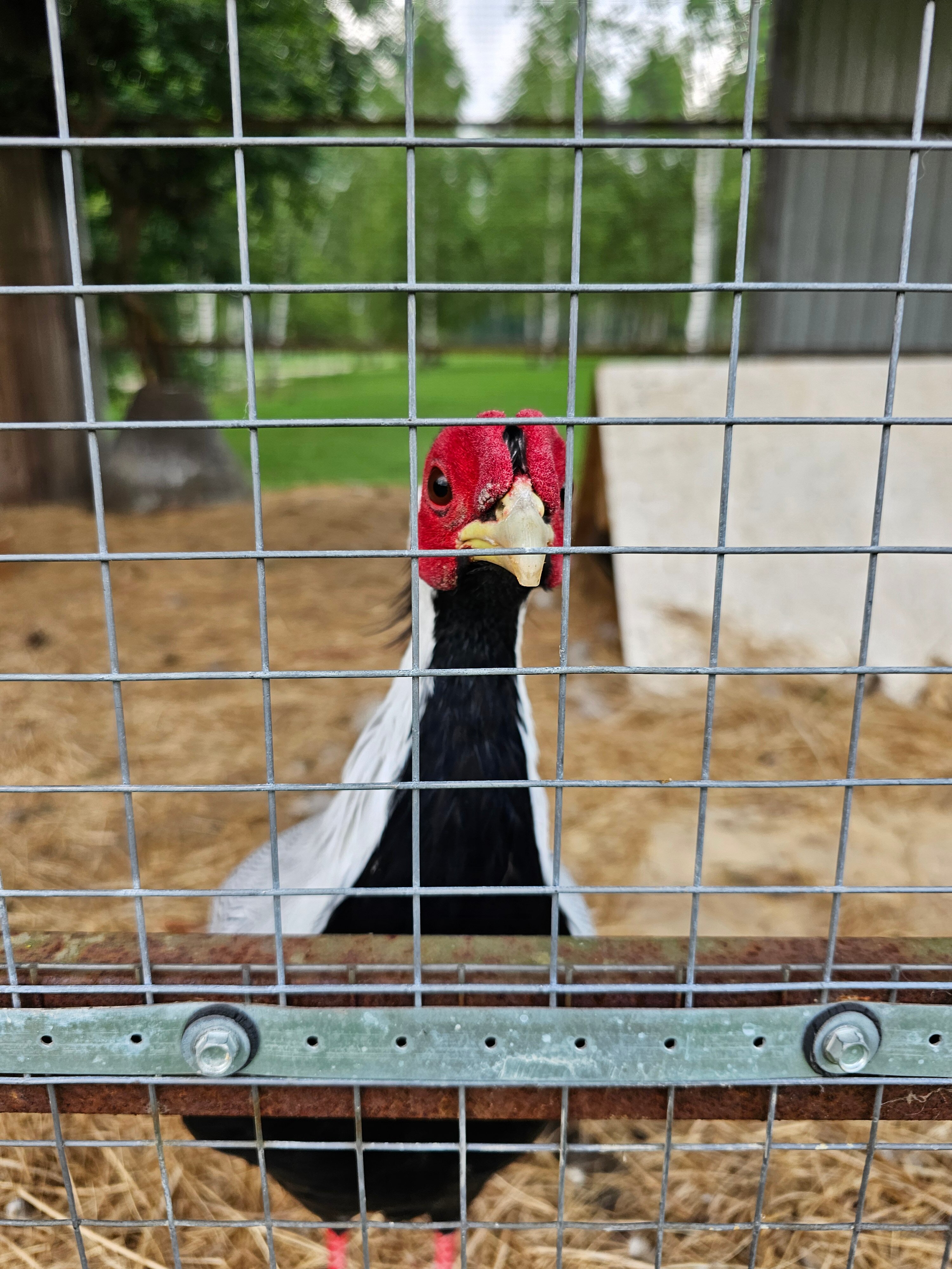 Фото La Ferme de Reve