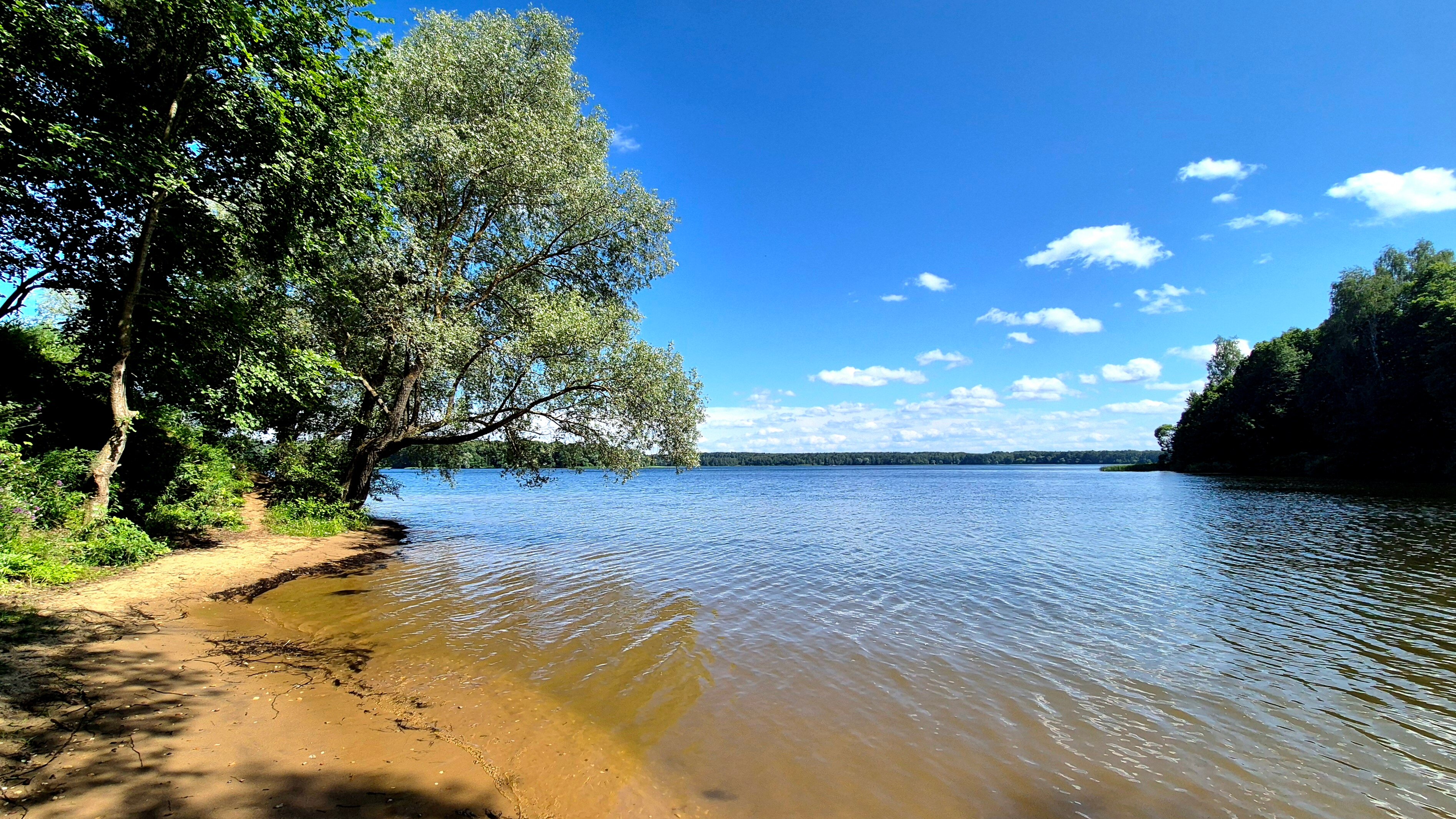 Фото Дача на Истре