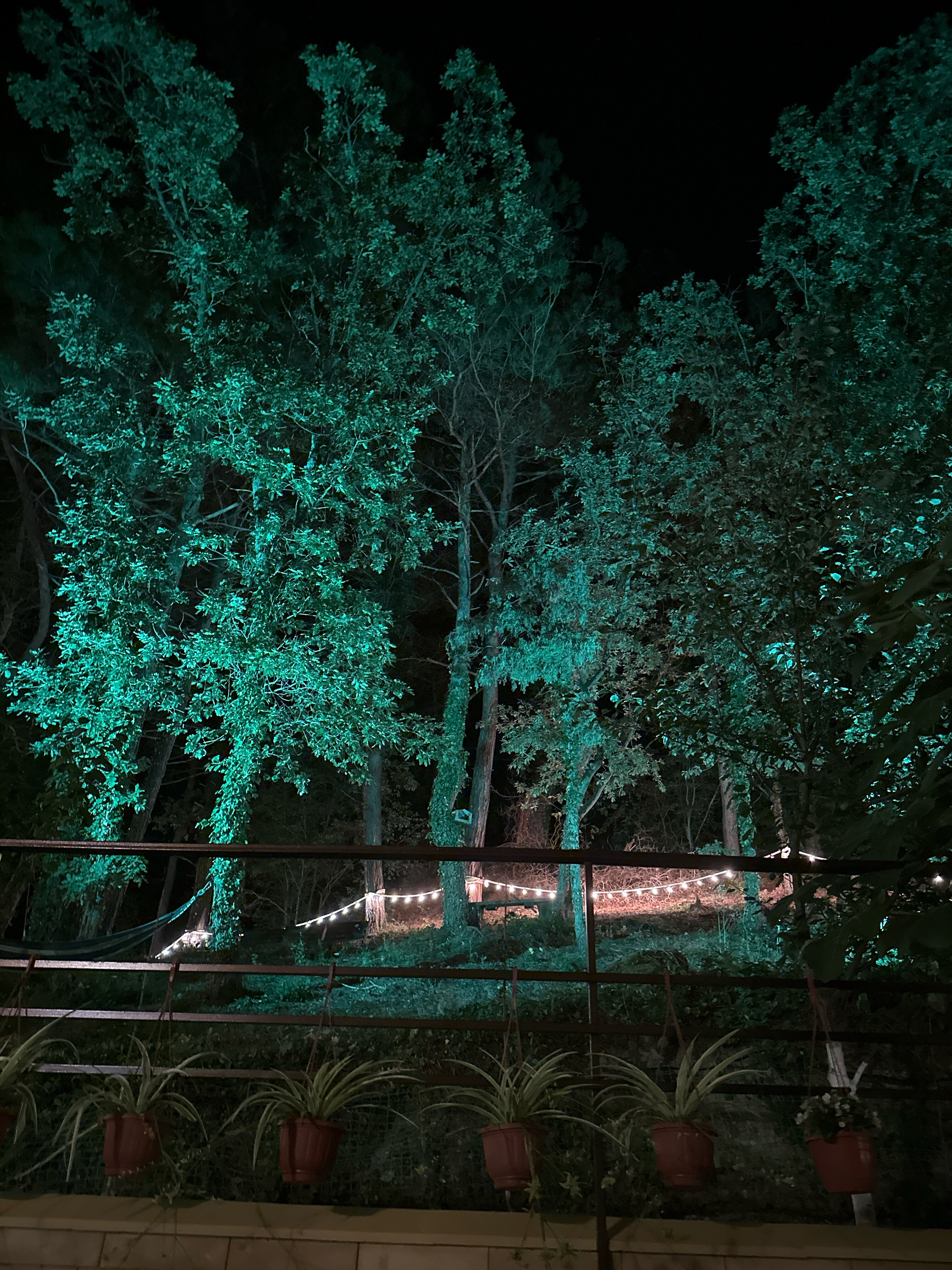 Фото Крисстал