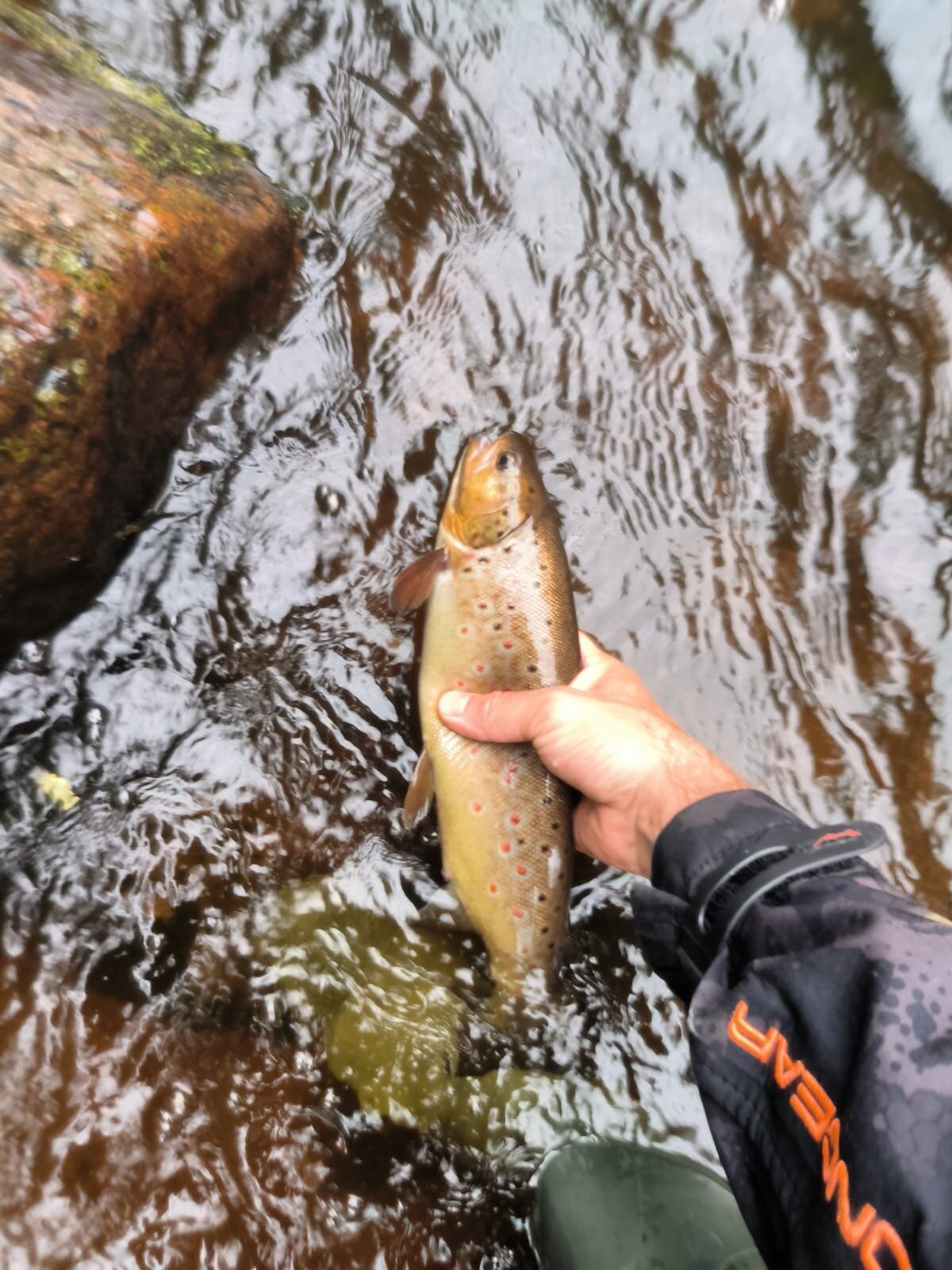 Фото Boutique Grave Hotel