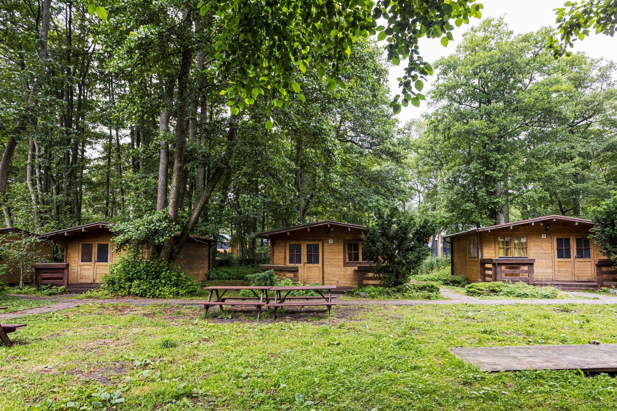 Фото ВитТех