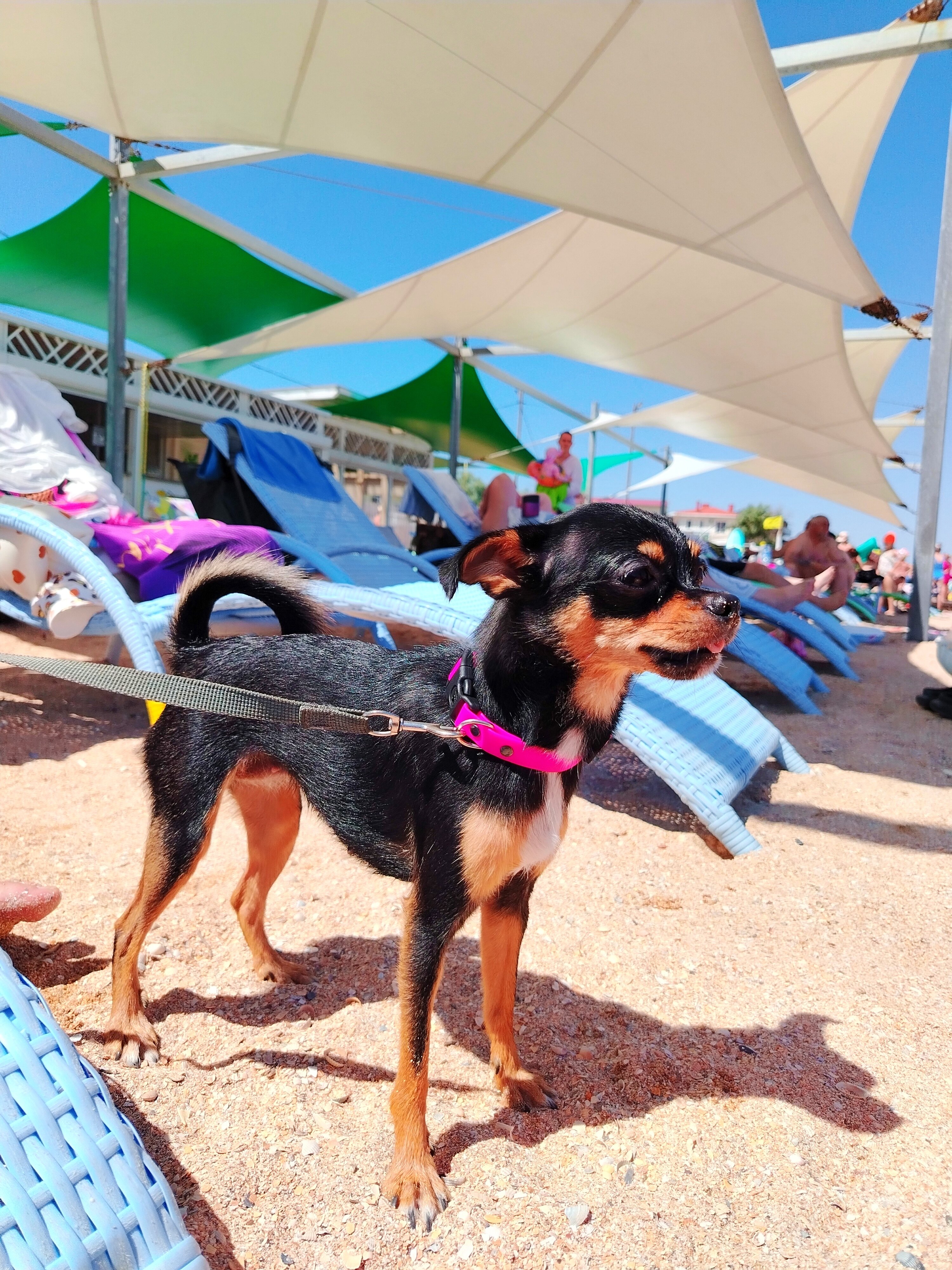 Фото Сказка ИНН