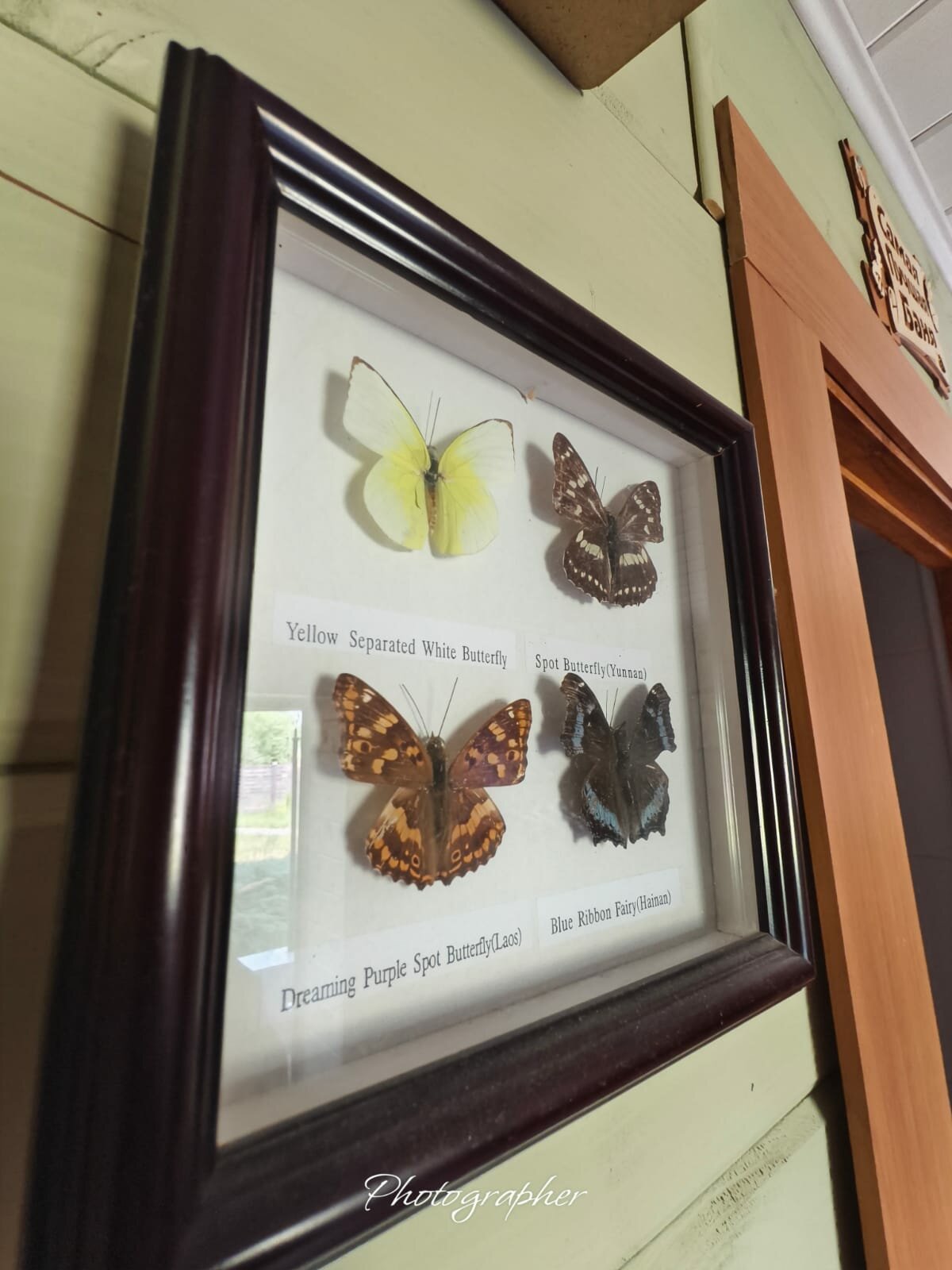 Фото Прованс